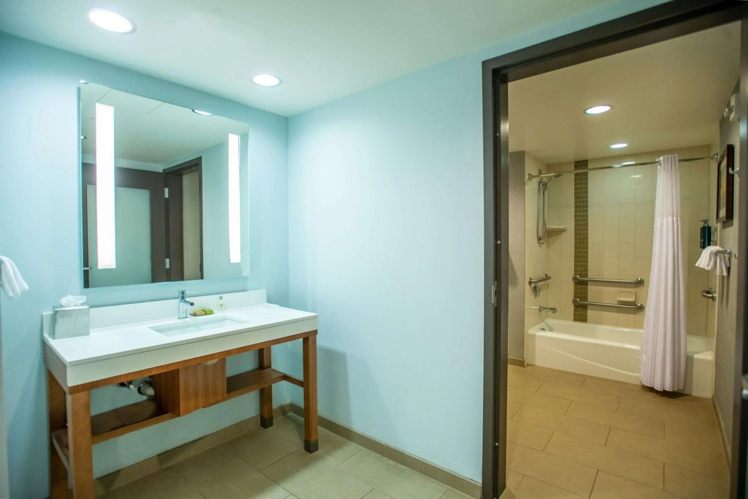 Bathroom in DoubleTree by Hilton Asheville Downtown