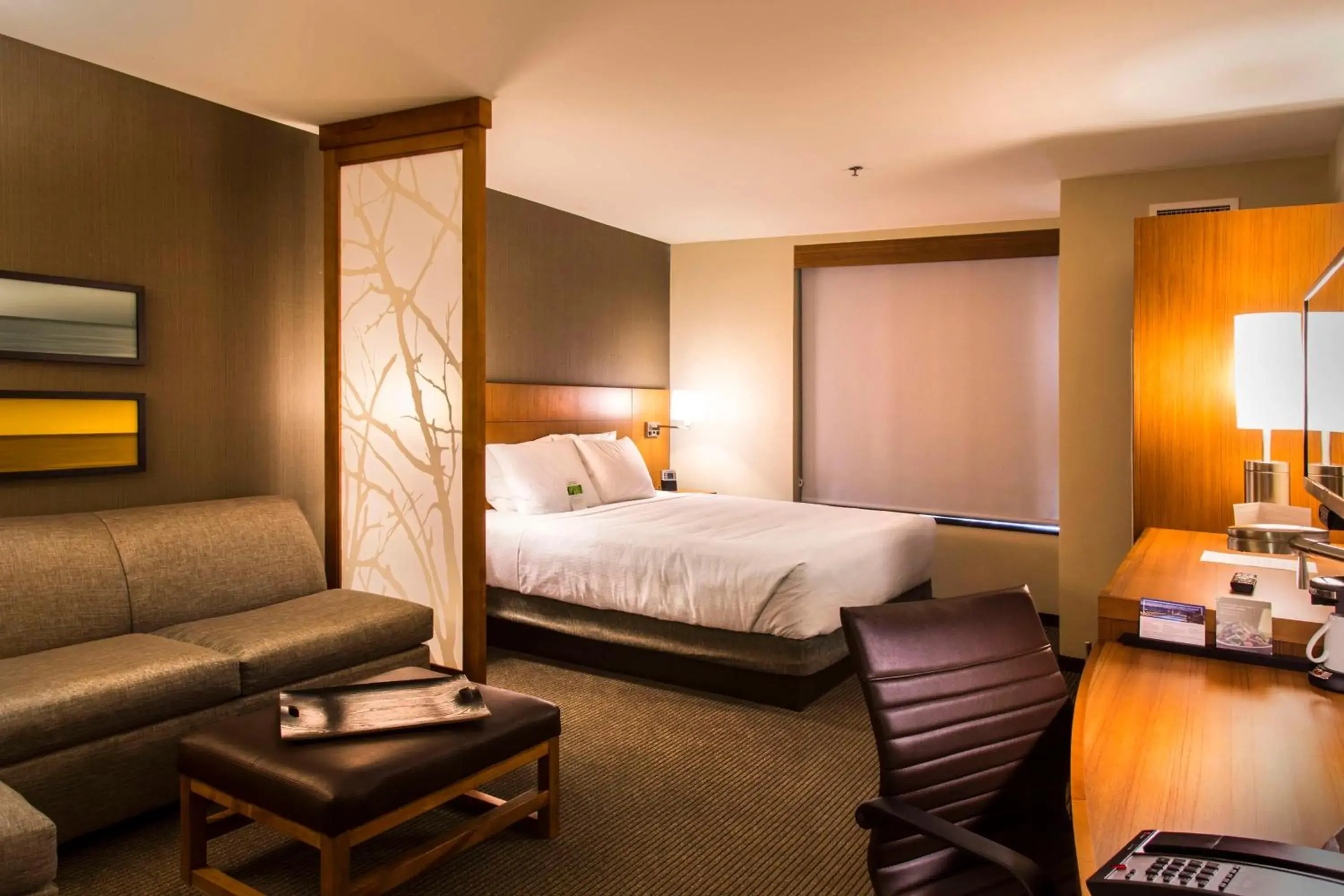 Photo of the whole room, Bed in Hyatt Place Charlottesville Photo of the whole room, Bed in Hyatt Place Charlottesville