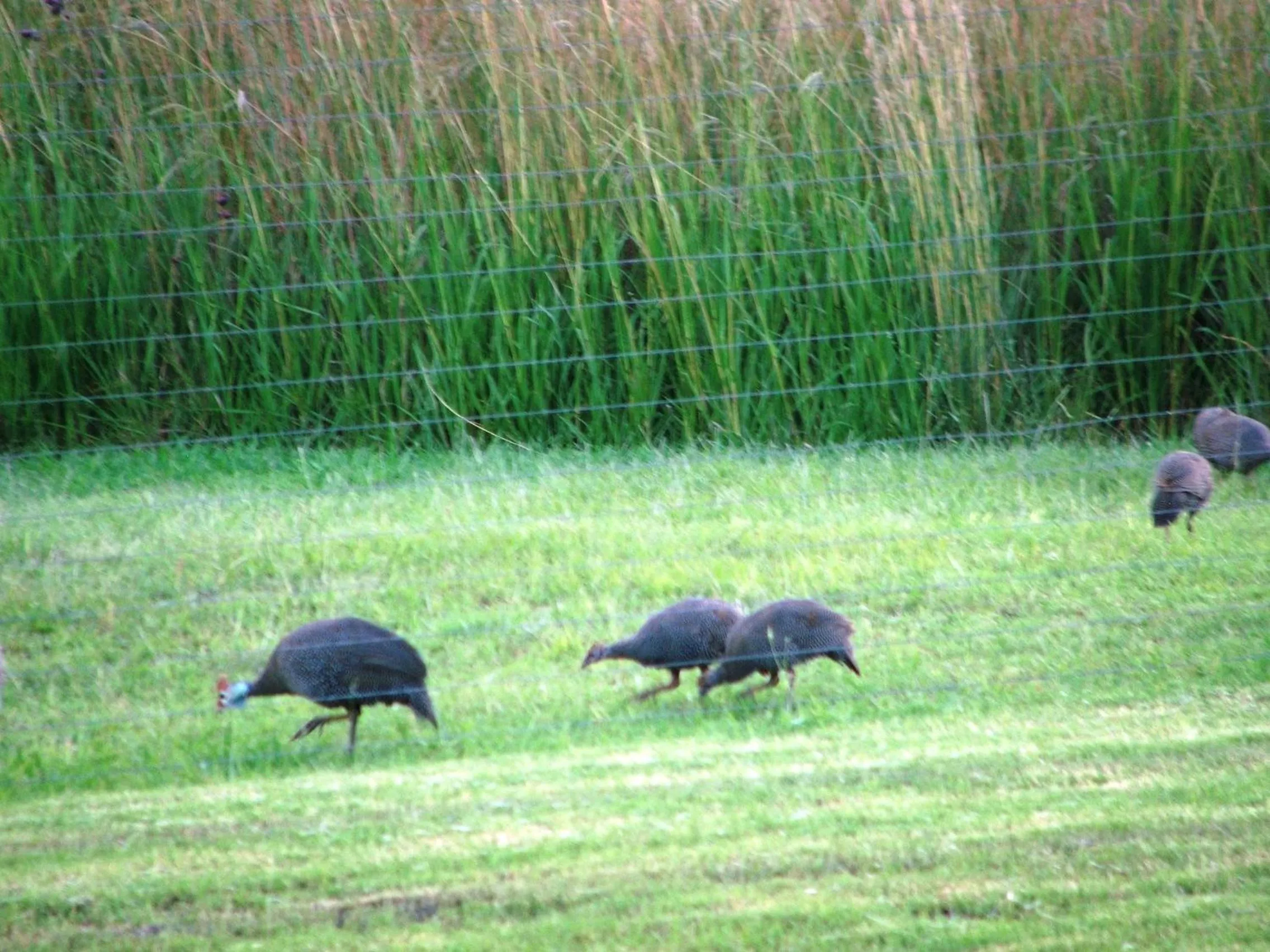 Day in River Crossing