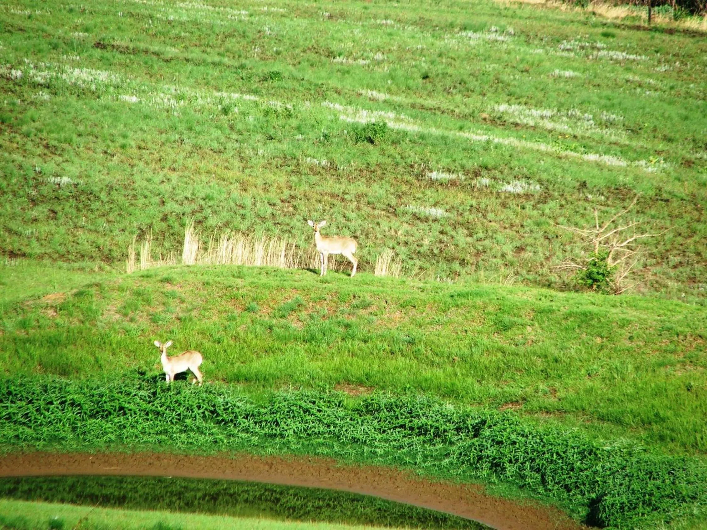 Day in River Crossing