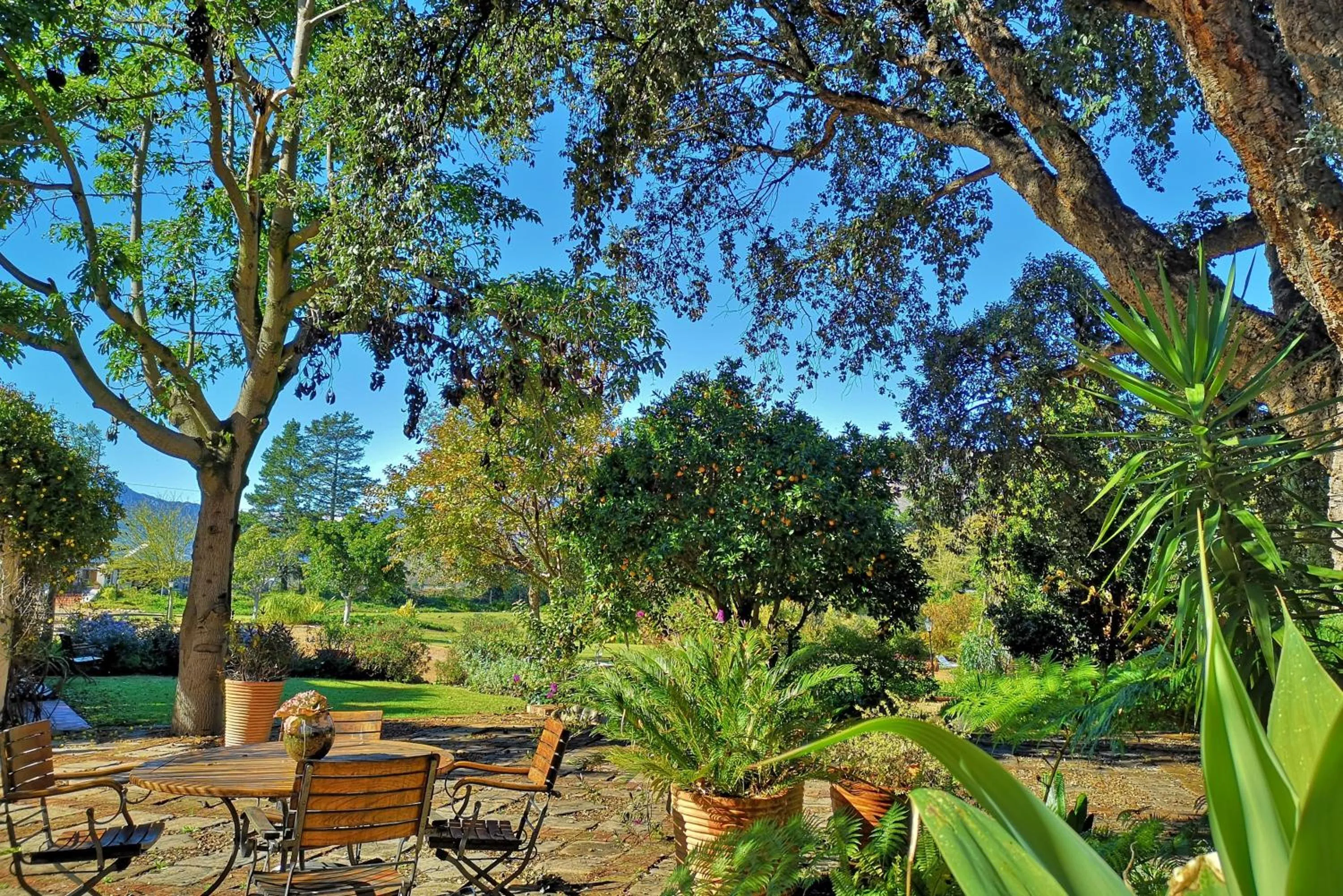 Garden in Val d'Or Estate