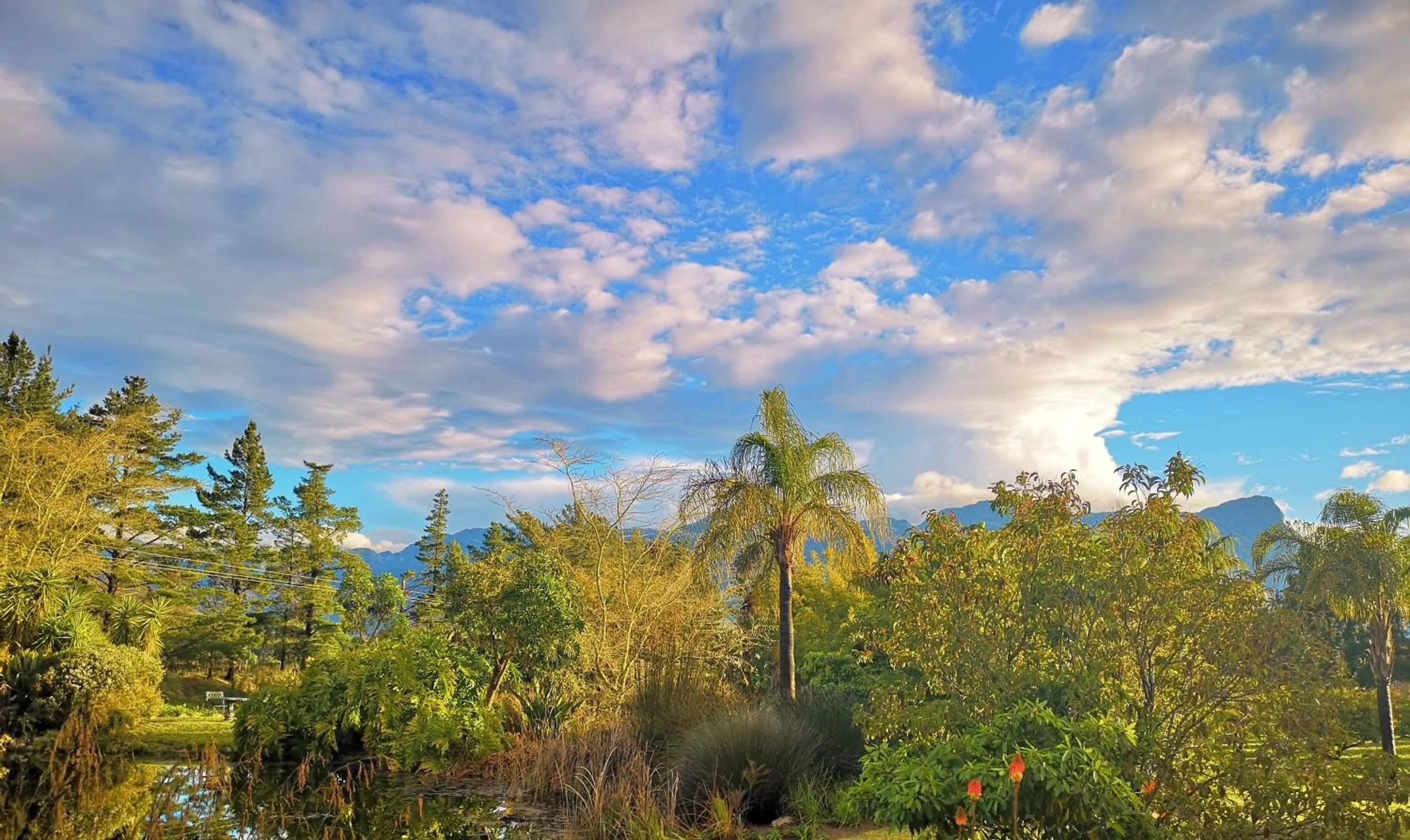 Natural landscape in Val d'Or Estate