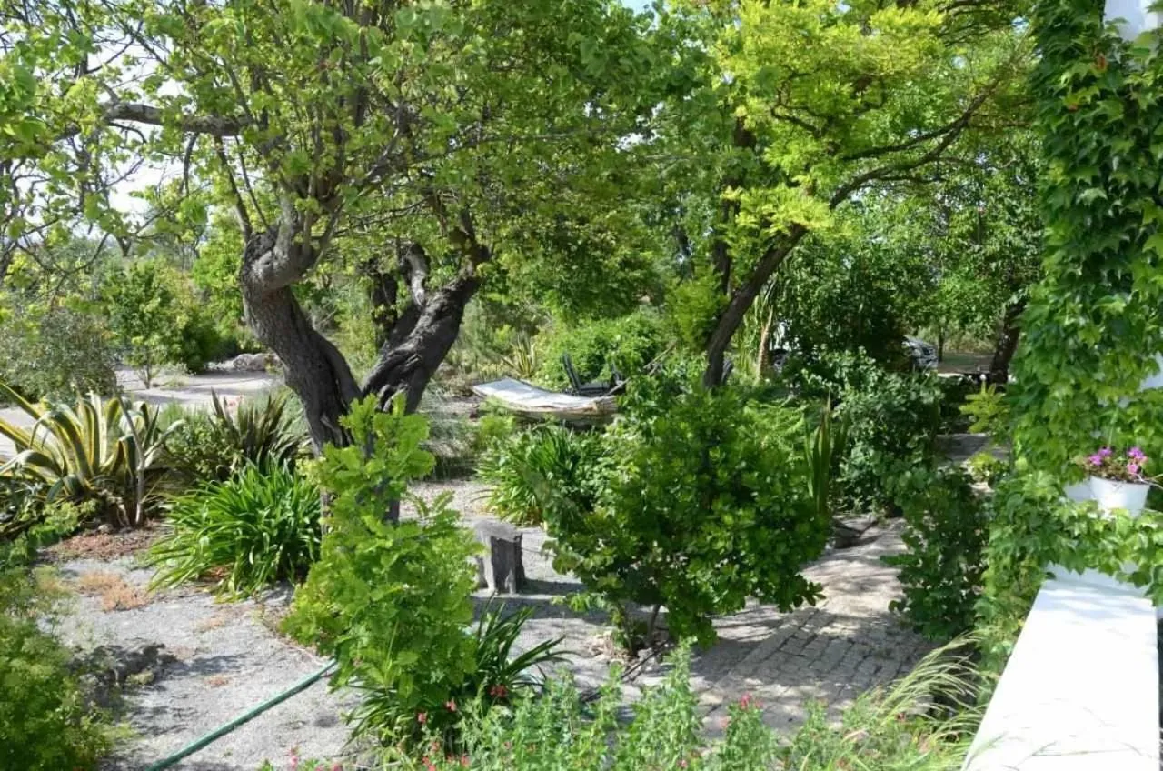 Herdade da Fonte Ferreira