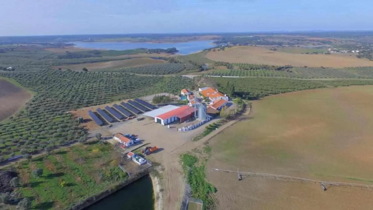 Herdade da Fonte Ferreira