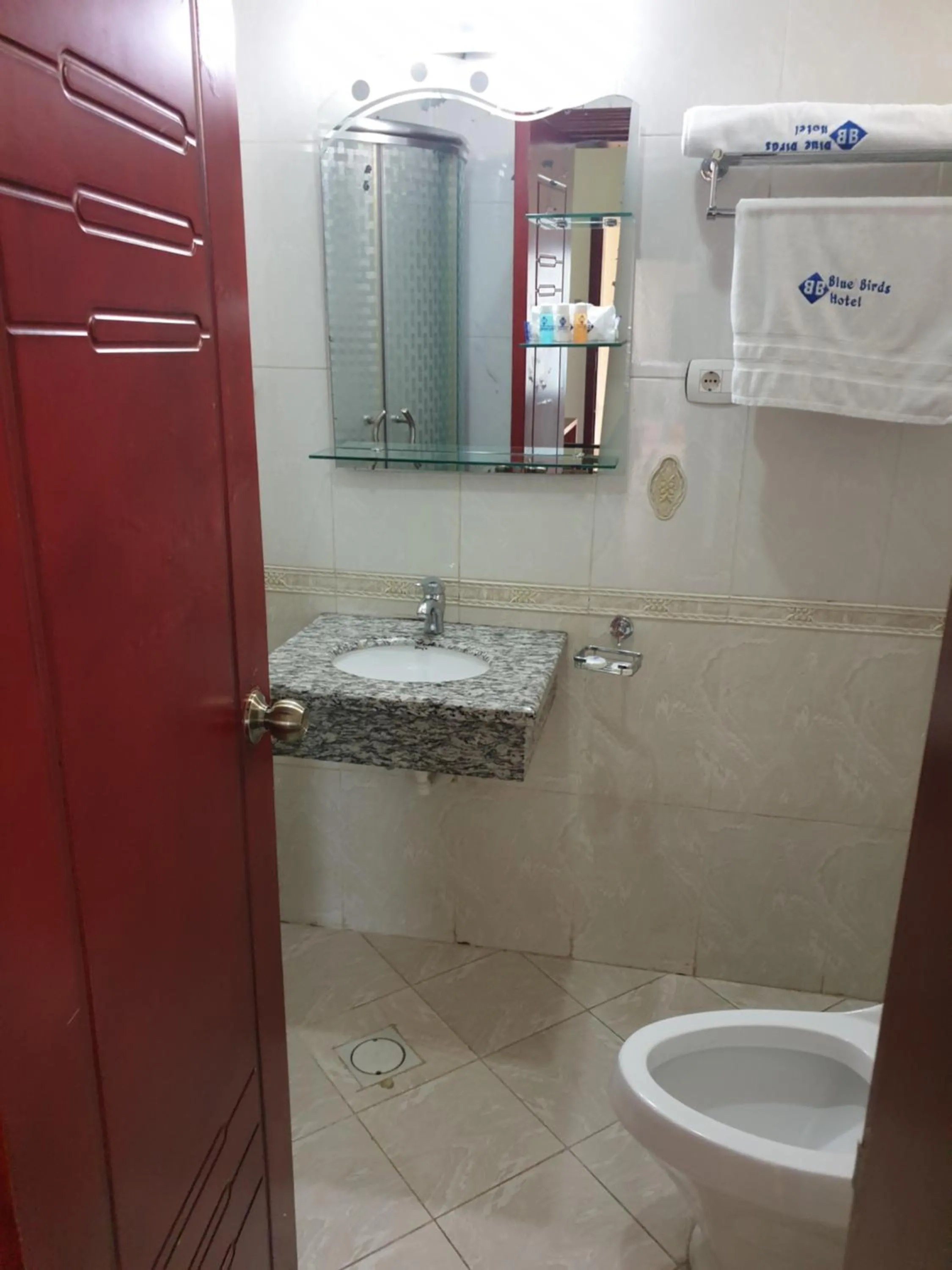 Blue Birds International Hotel