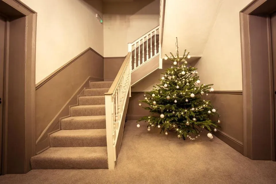 Area and facilities in The Cardinals Hat