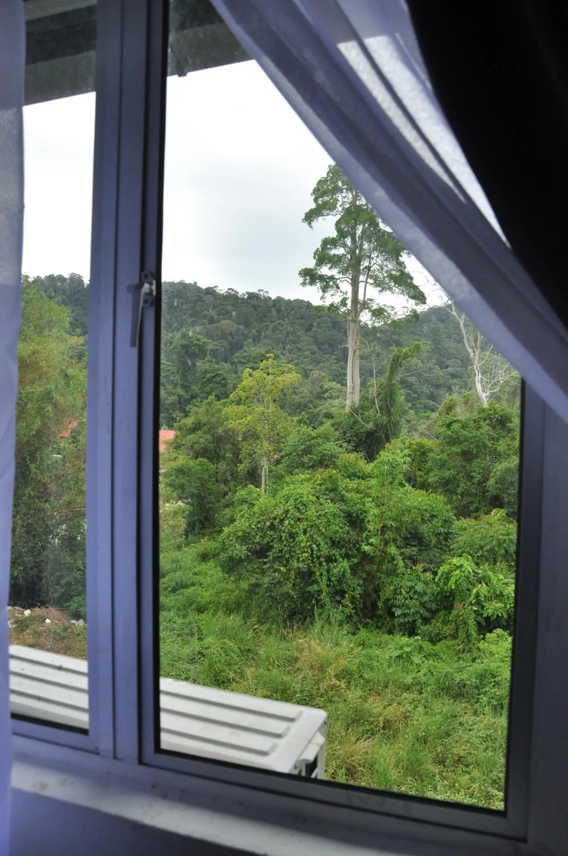 Mountain view in Joe Fisherman Inn Mountain view in Joe Fisherman Inn