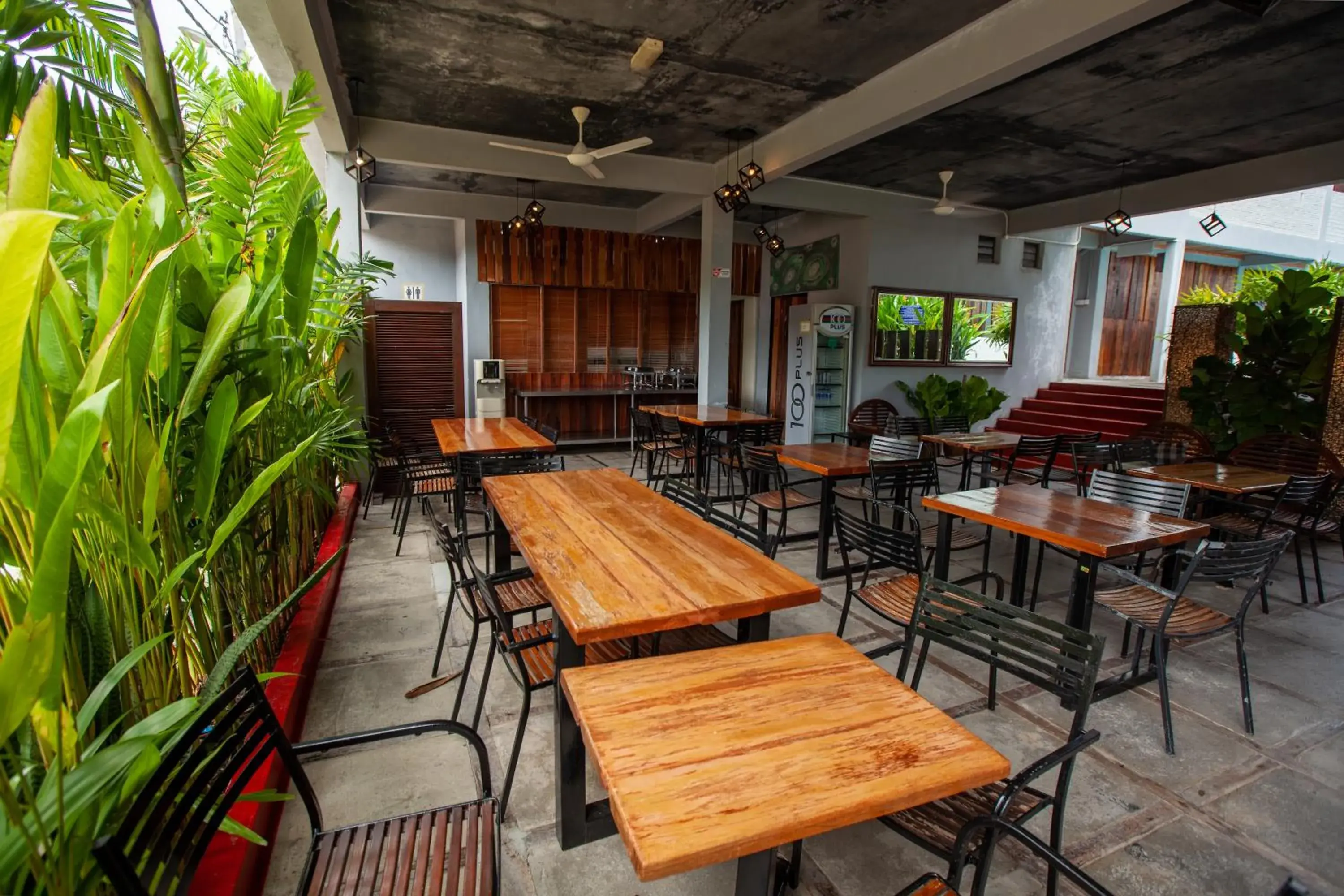 Food and drinks in Joe Fisherman Inn Food and drinks in Joe Fisherman Inn