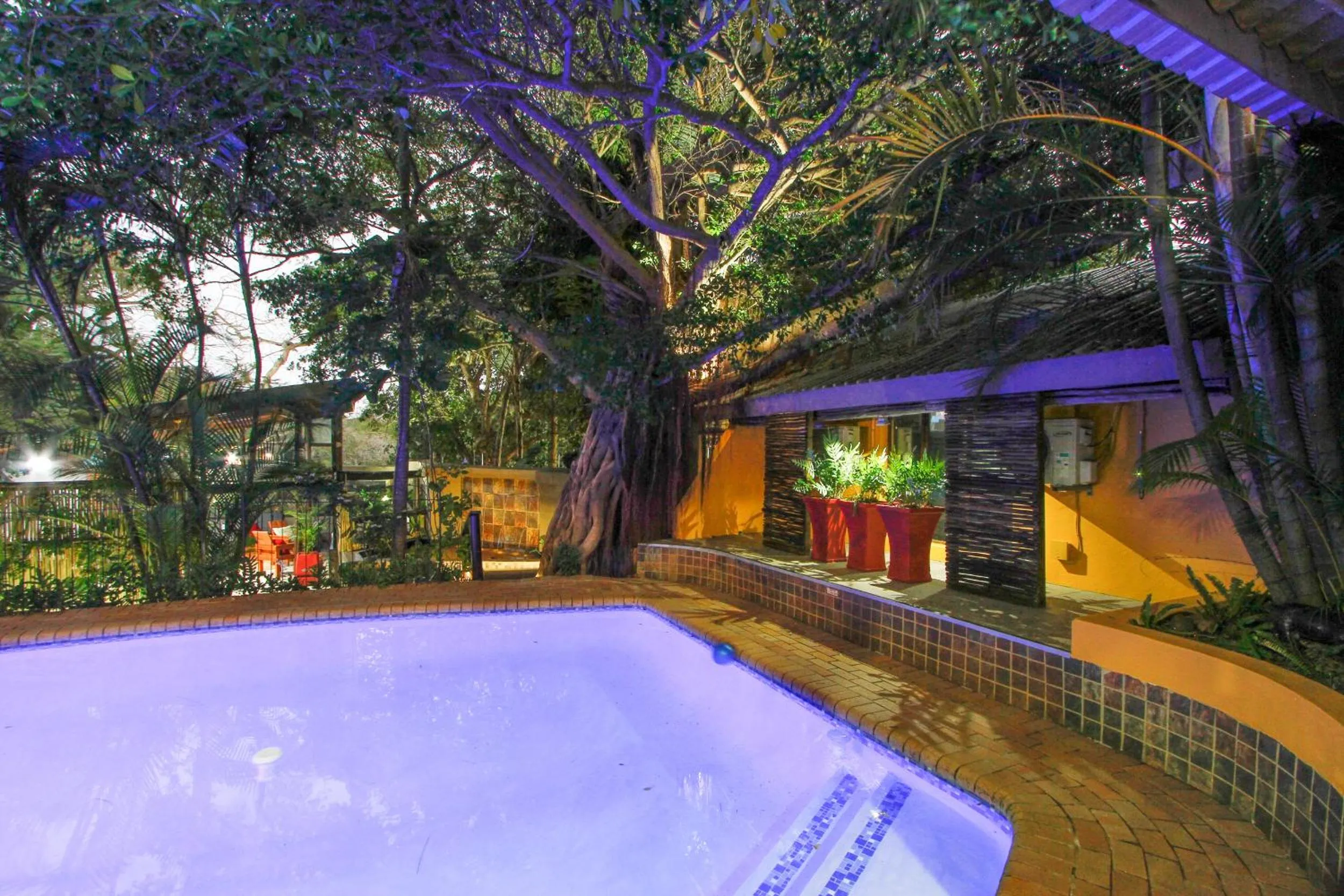 Swimming pool in Umlilo Guest House