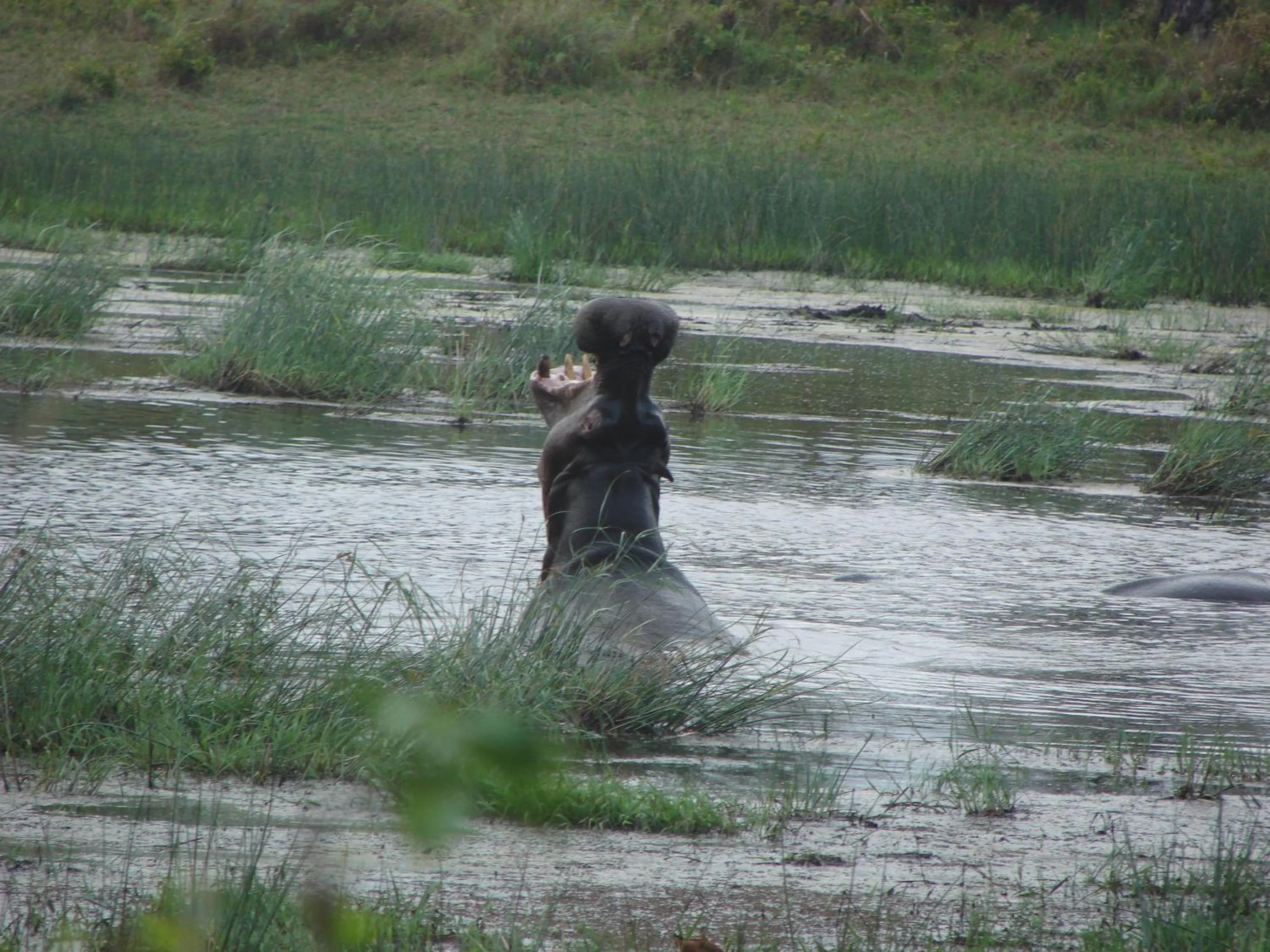 Natural landscape in Umlilo Guest House