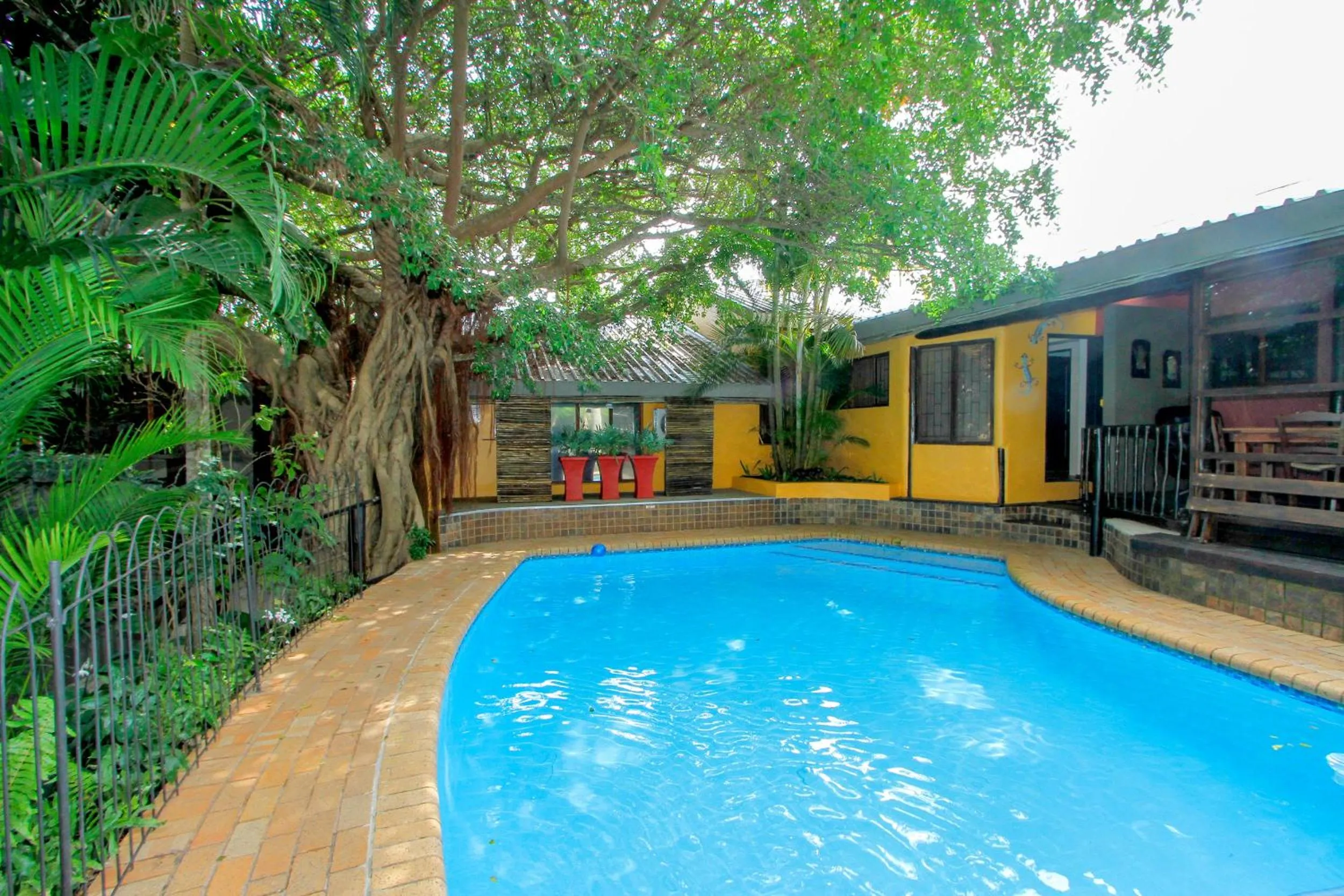 Swimming pool in Umlilo Guest House