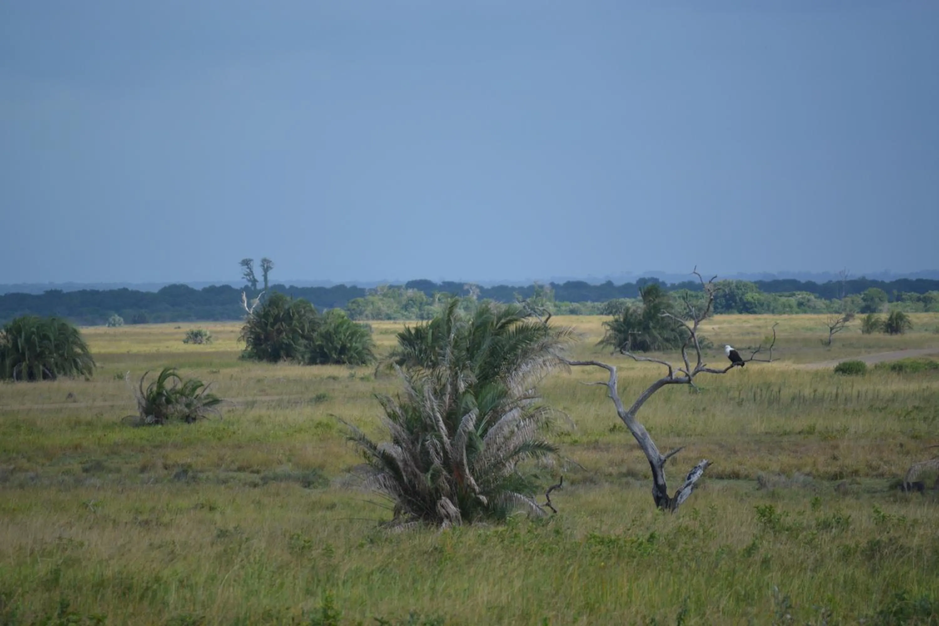Nearby landmark in Umlilo Guest House