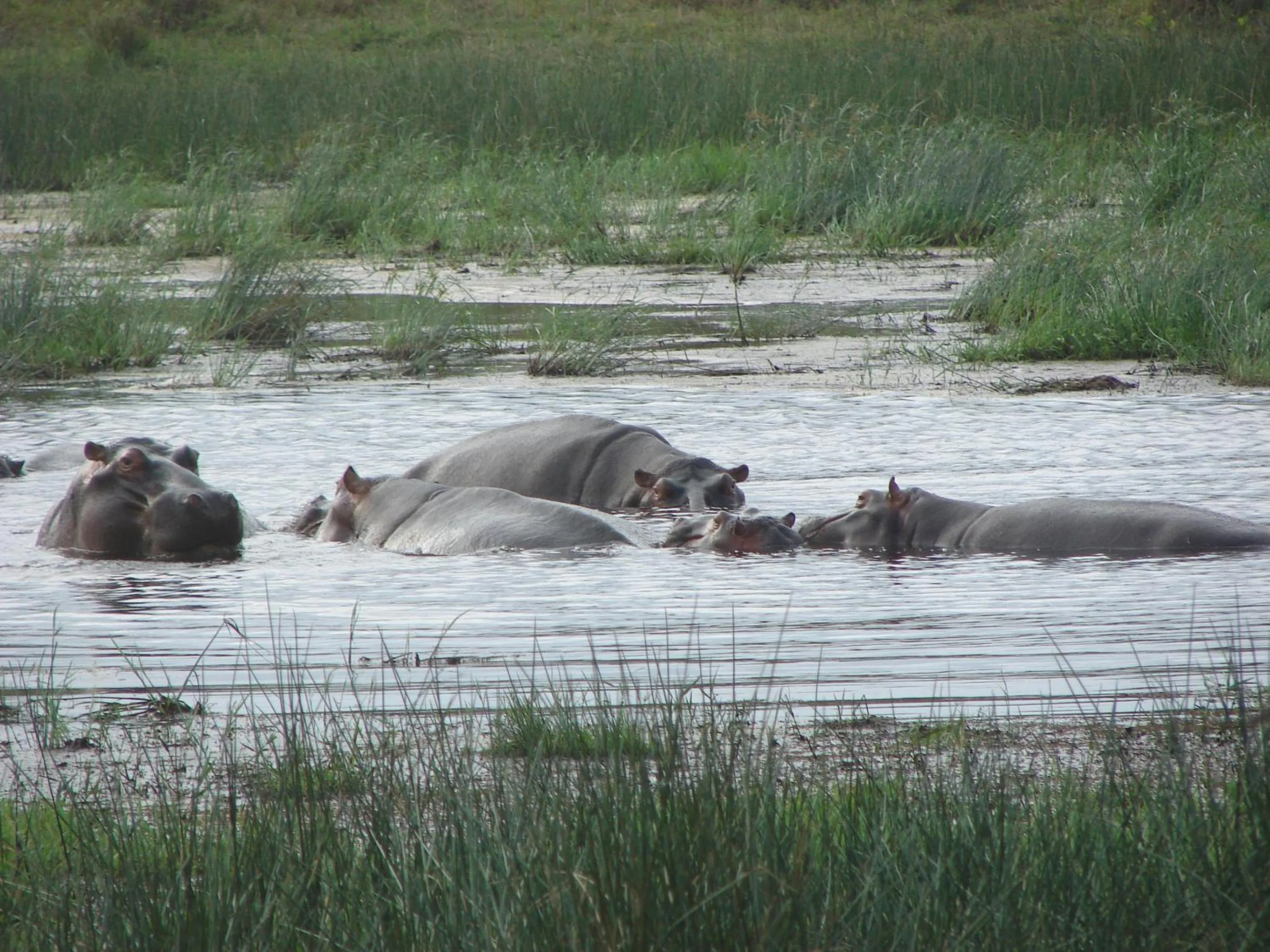 Natural landscape in Umlilo Guest House