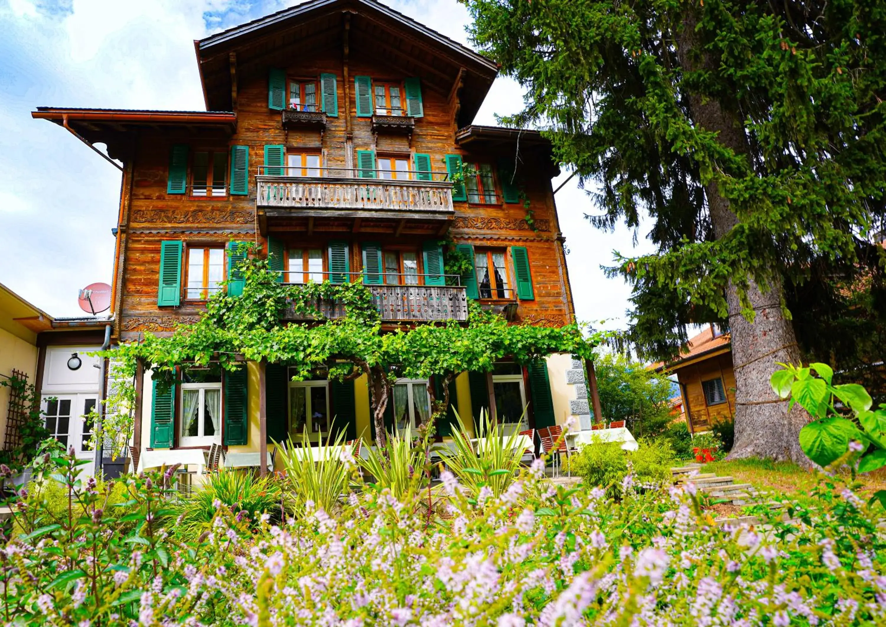 Edelweiss Lodge Edelweiss Lodge
