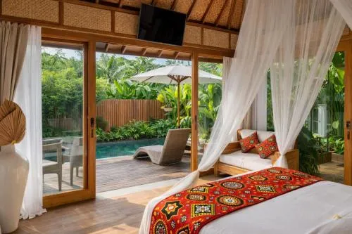 Kappa Senses Zanzibar