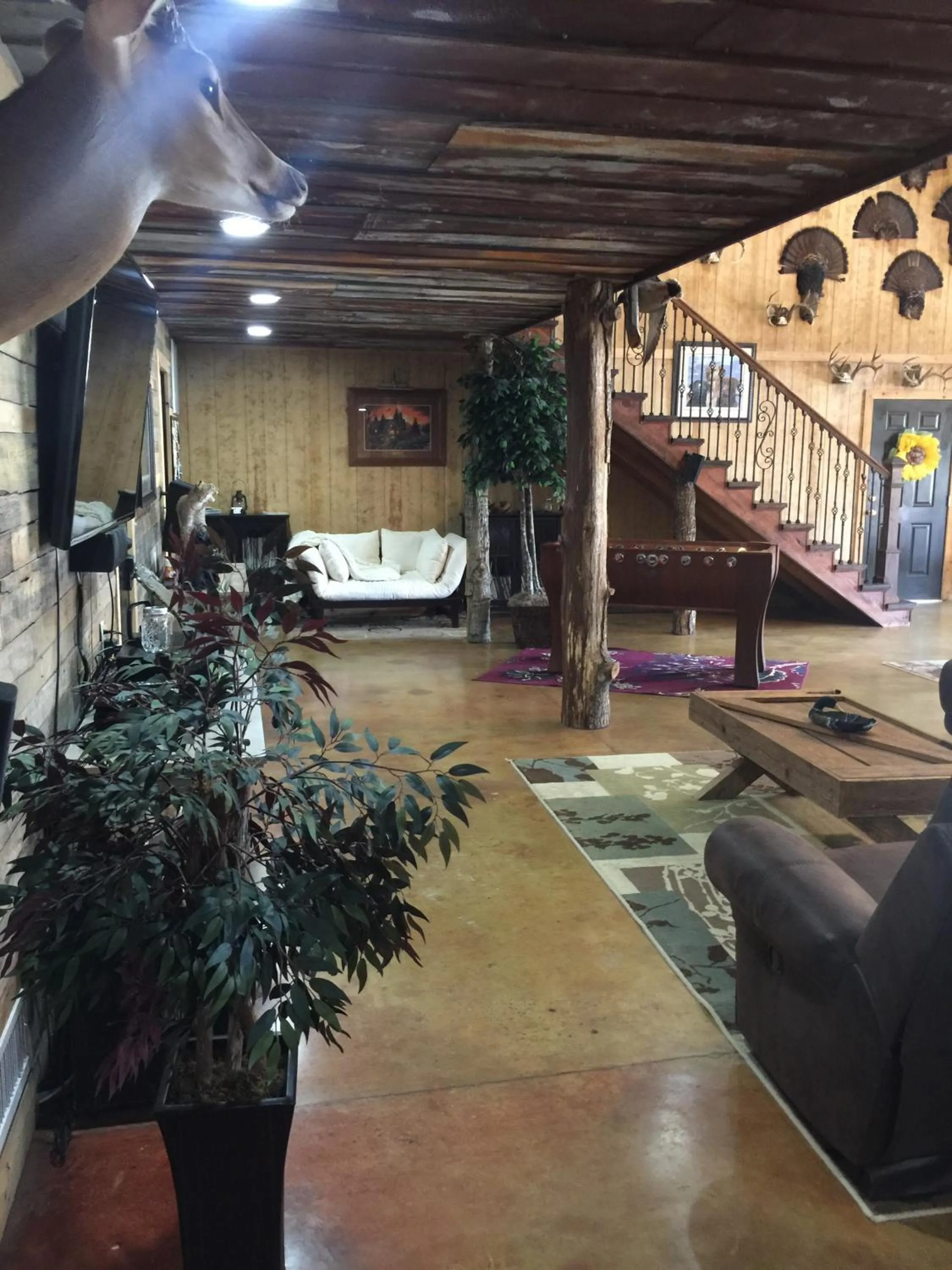 Activities in Red Fern Plantation Lodge