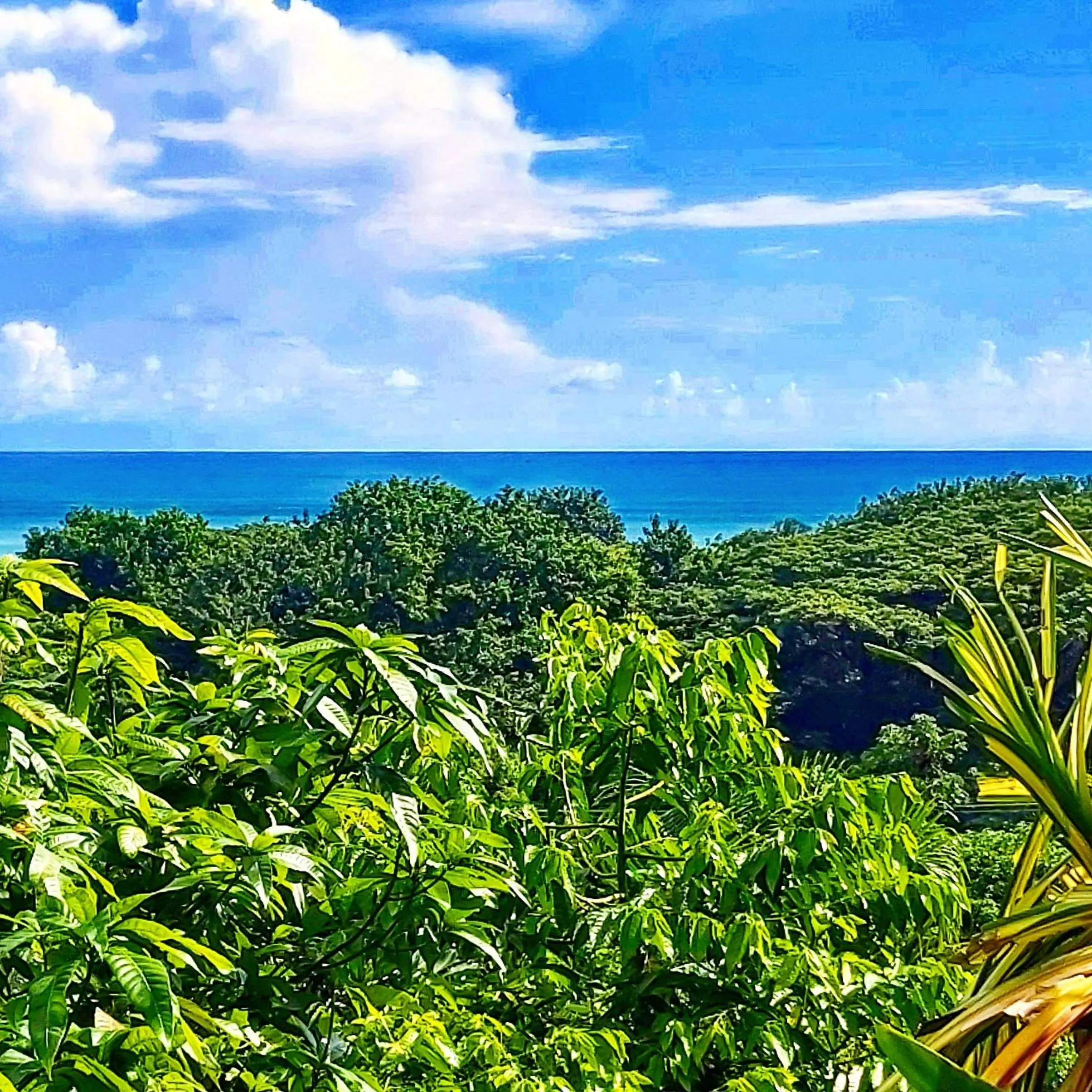 Sea view in Horizon Hotel & Yoga center