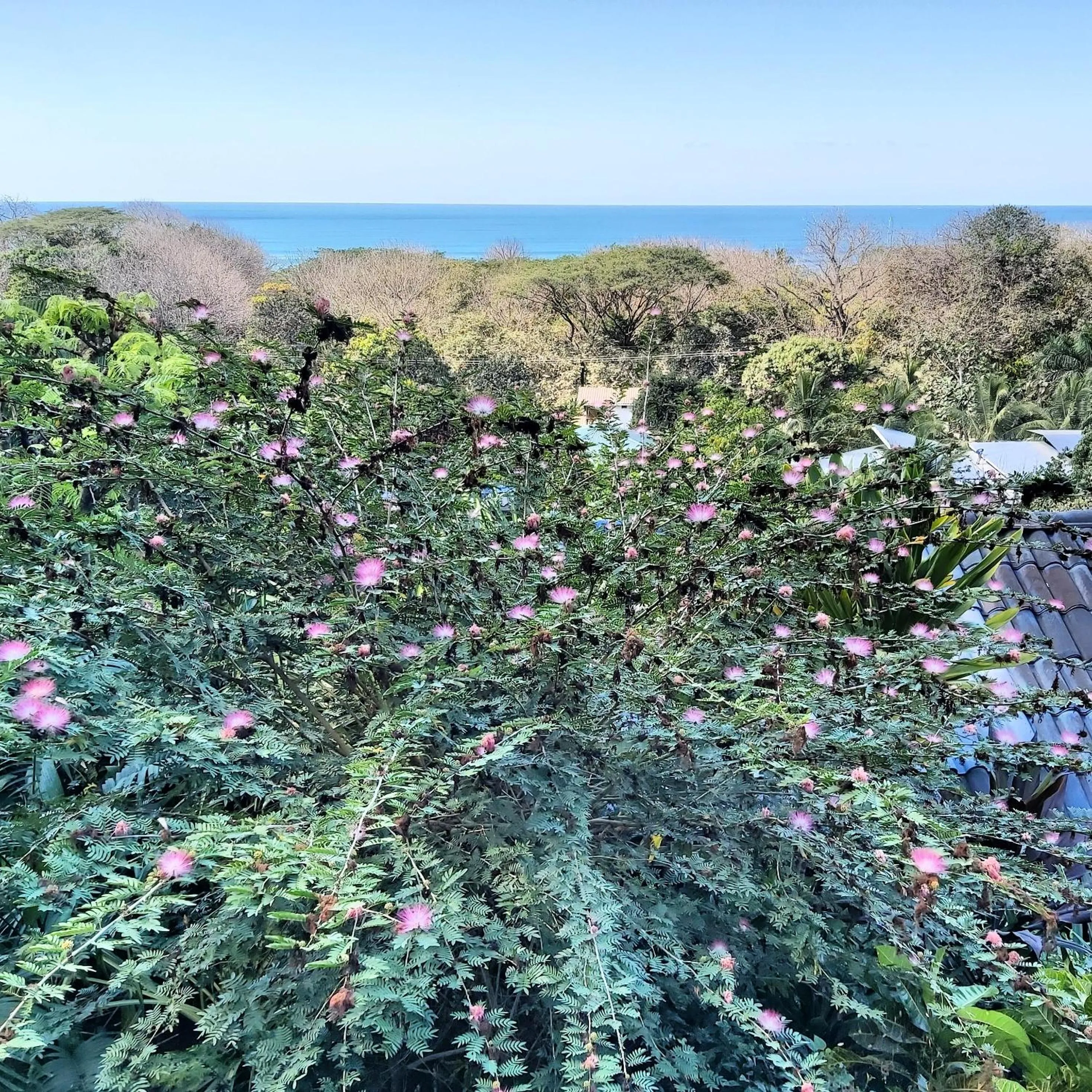 Sea view in Horizon Hotel & Yoga center