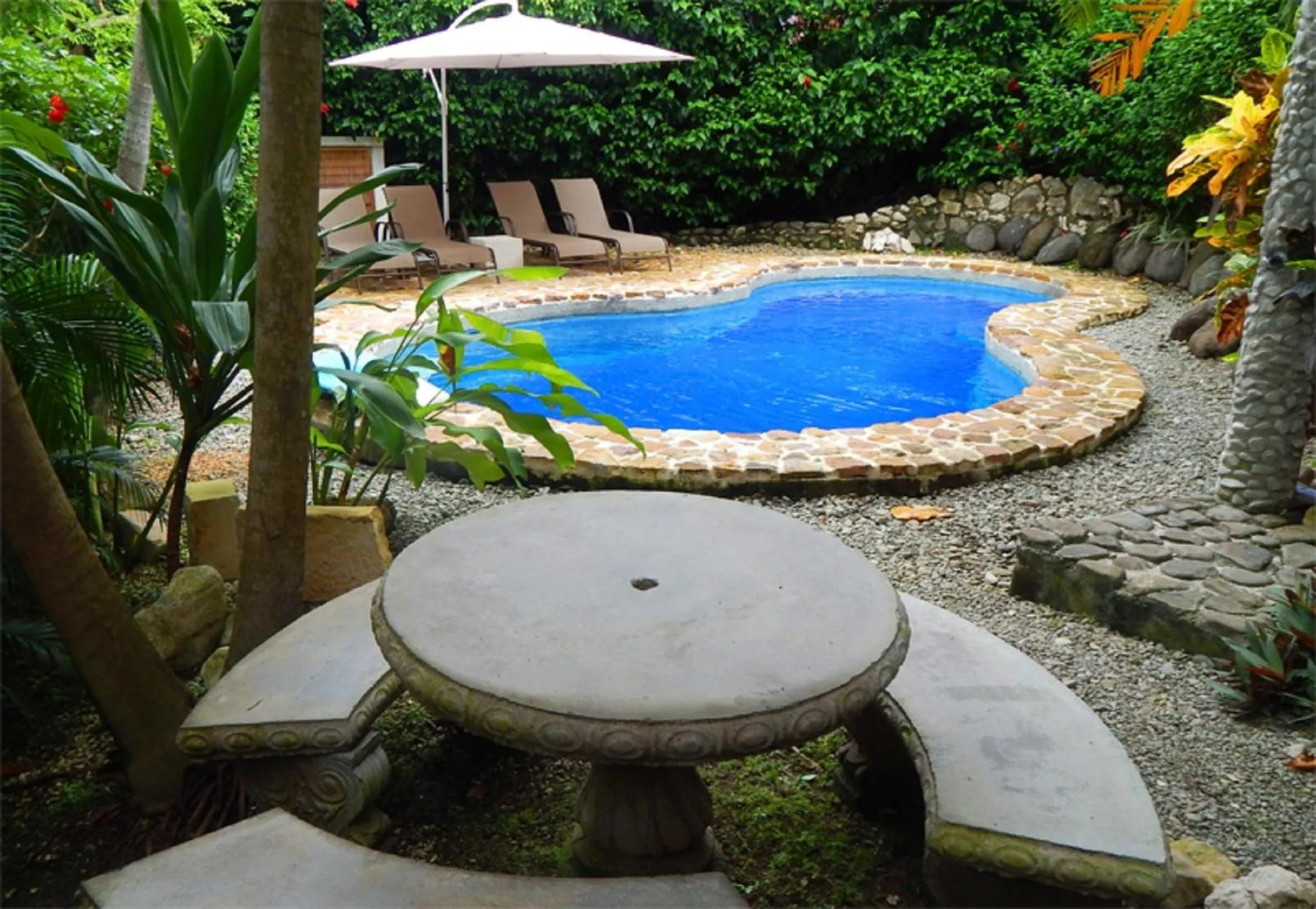 Garden in Horizon Hotel & Yoga center