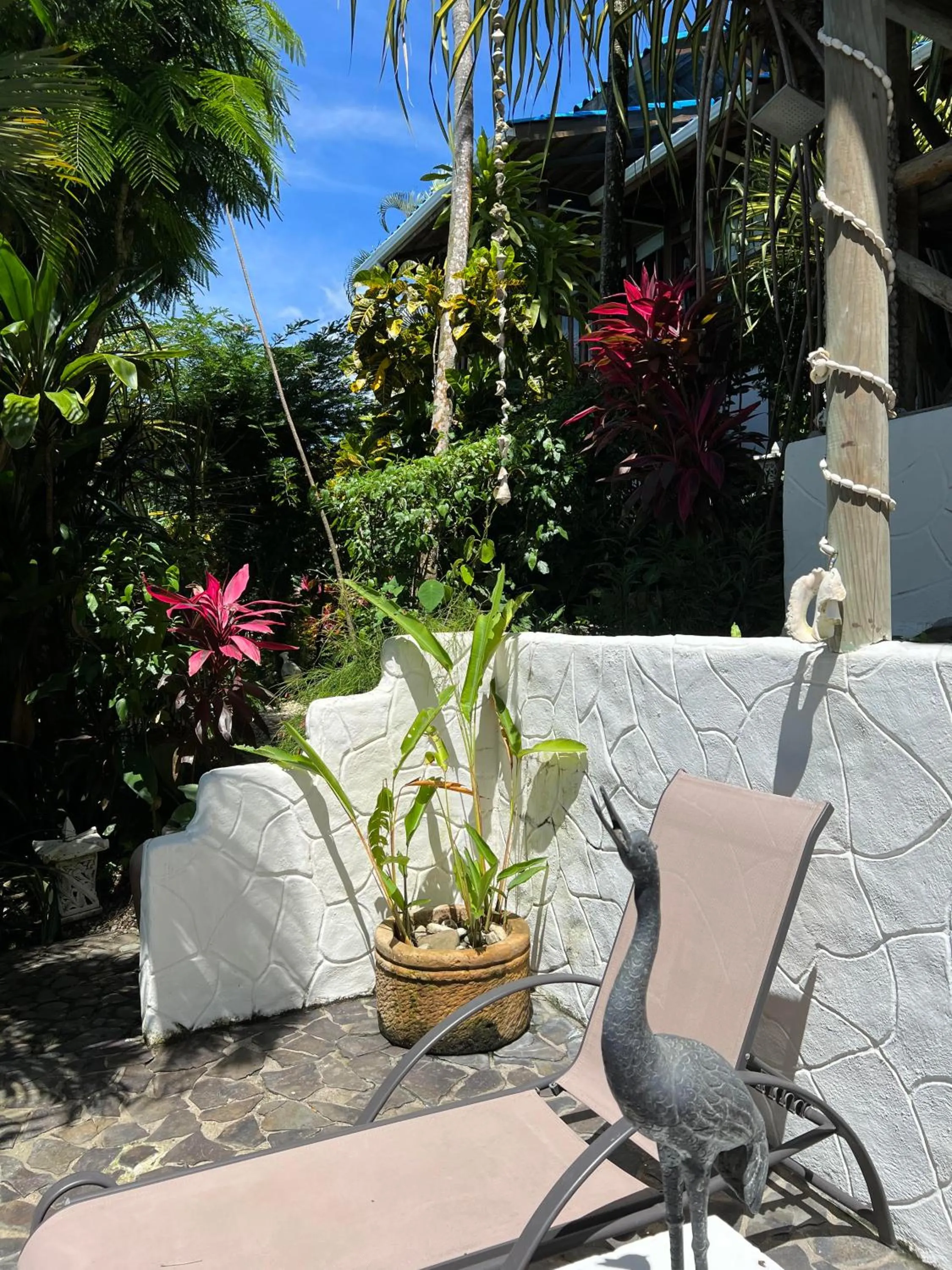 Garden view in Horizon Hotel & Yoga center