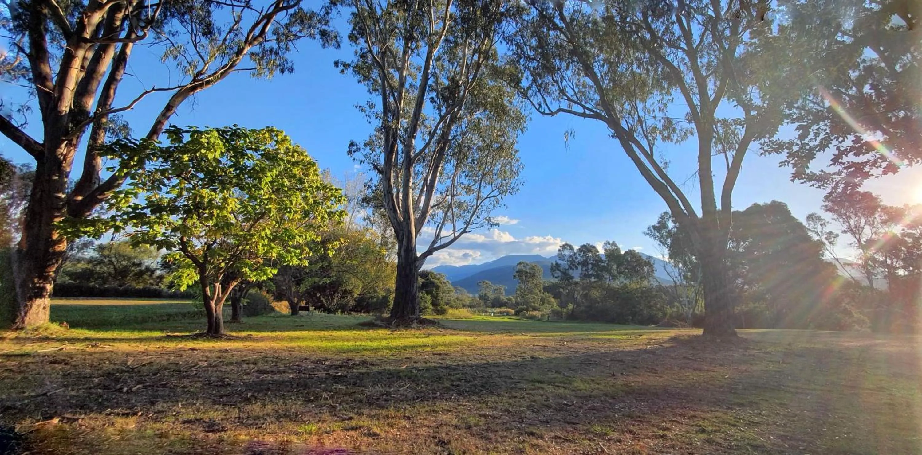 View (from property/room) in Restaway Holiday Units