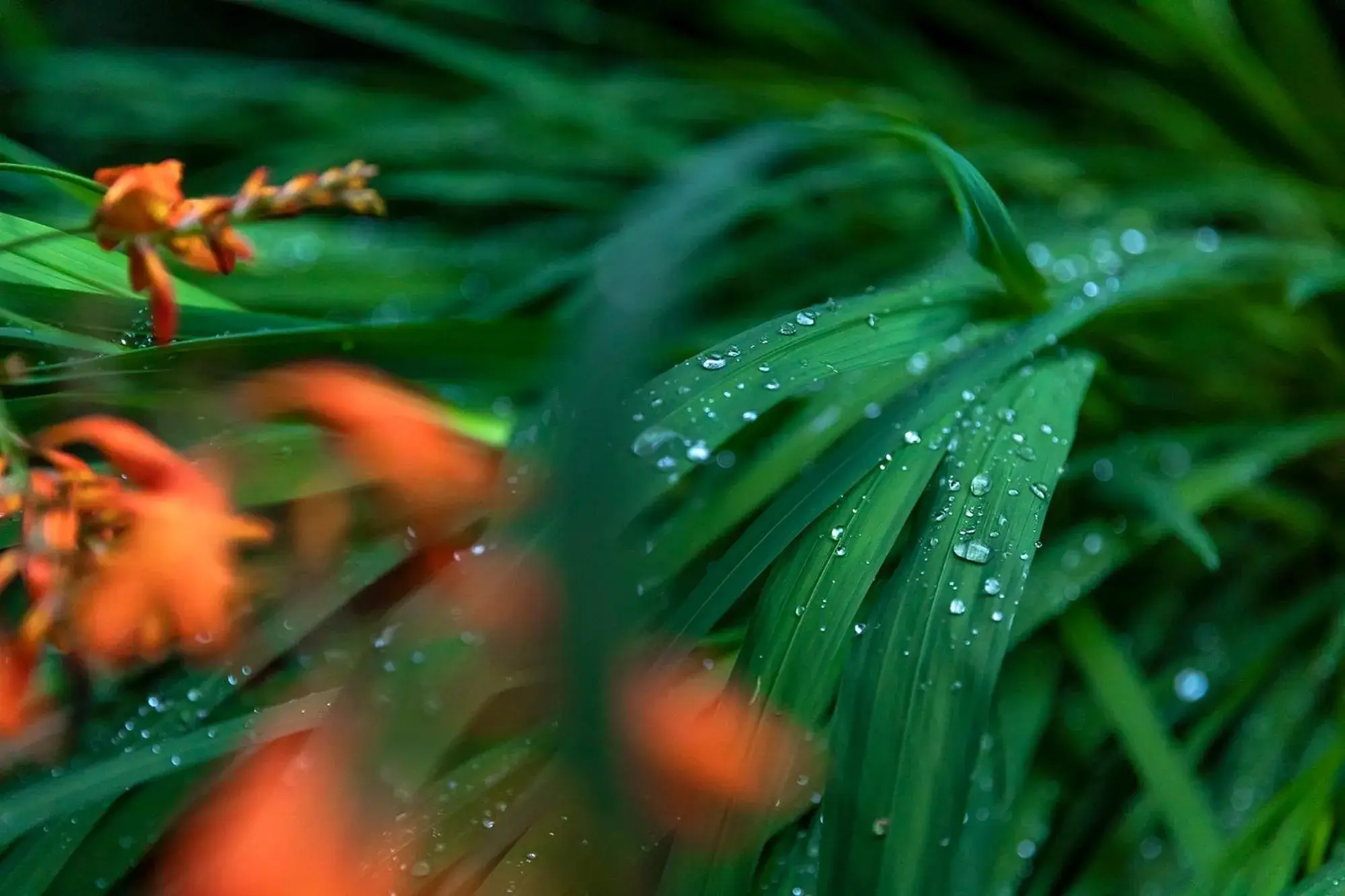 Property building in Yufuin Yufusaryo Property building in Yufuin Yufusaryo