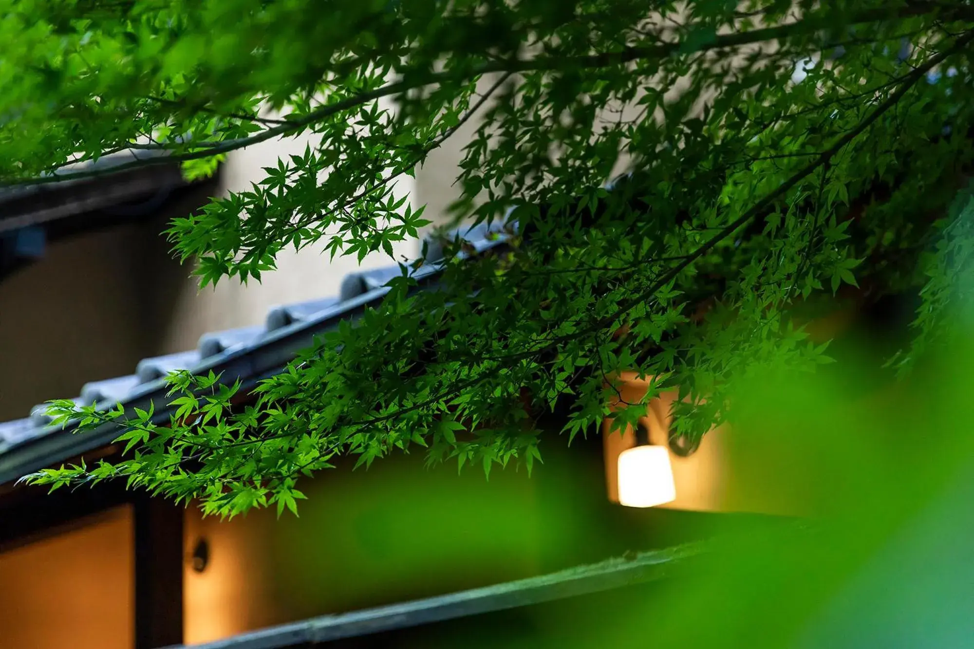 Property building in Yufuin Yufusaryo Property building in Yufuin Yufusaryo