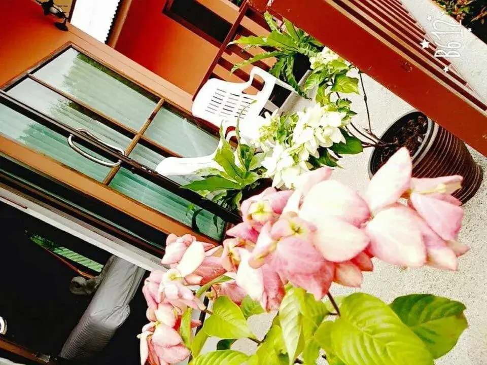 Deluxe Double or Twin Room with Garden View in Lanta Cottage - SHA Plus Deluxe Double or Twin Room with Garden View in Lanta Cottage - SHA Plus