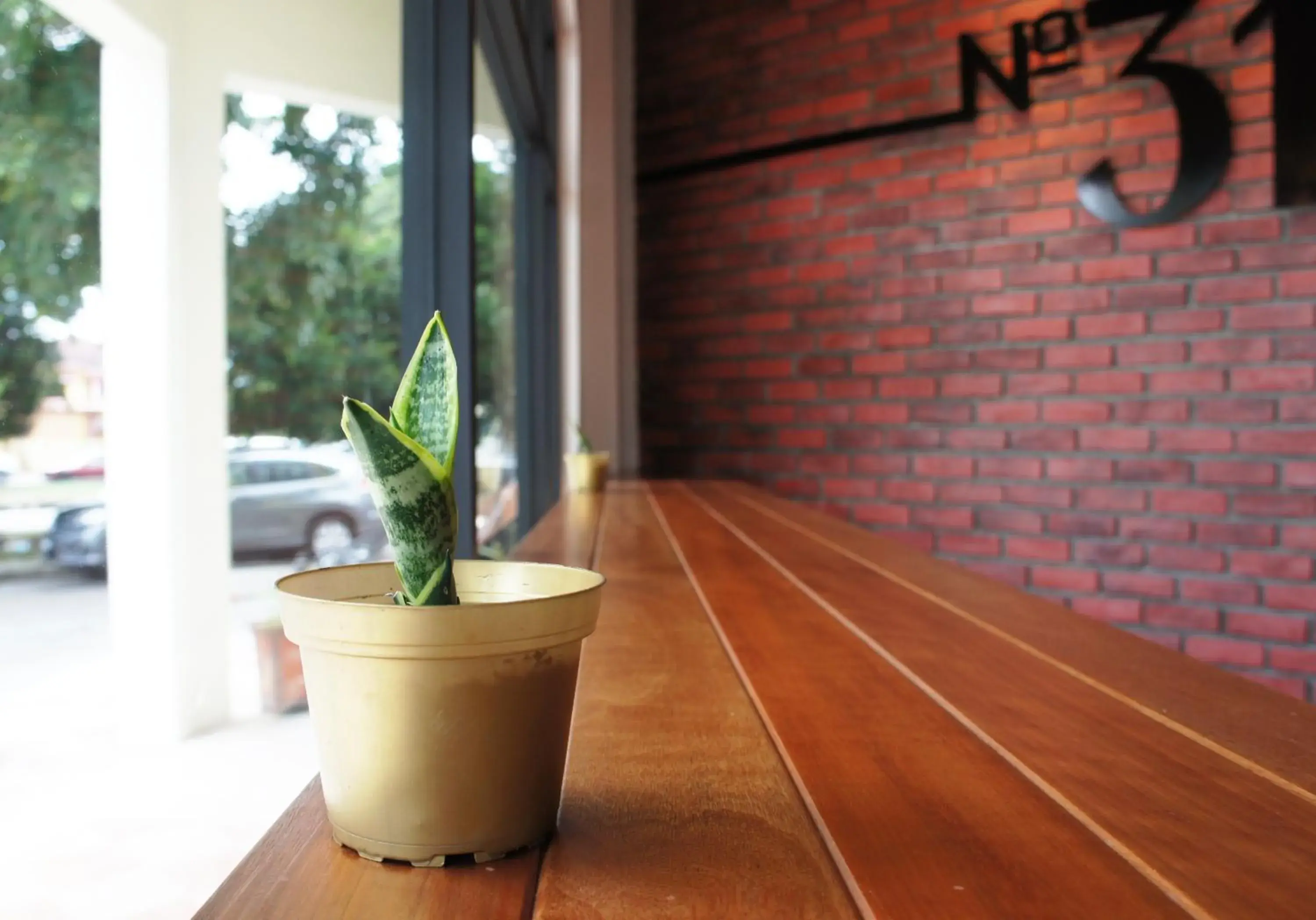 Facade/entrance in No.31 Maple Inn Facade/entrance in No.31 Maple Inn