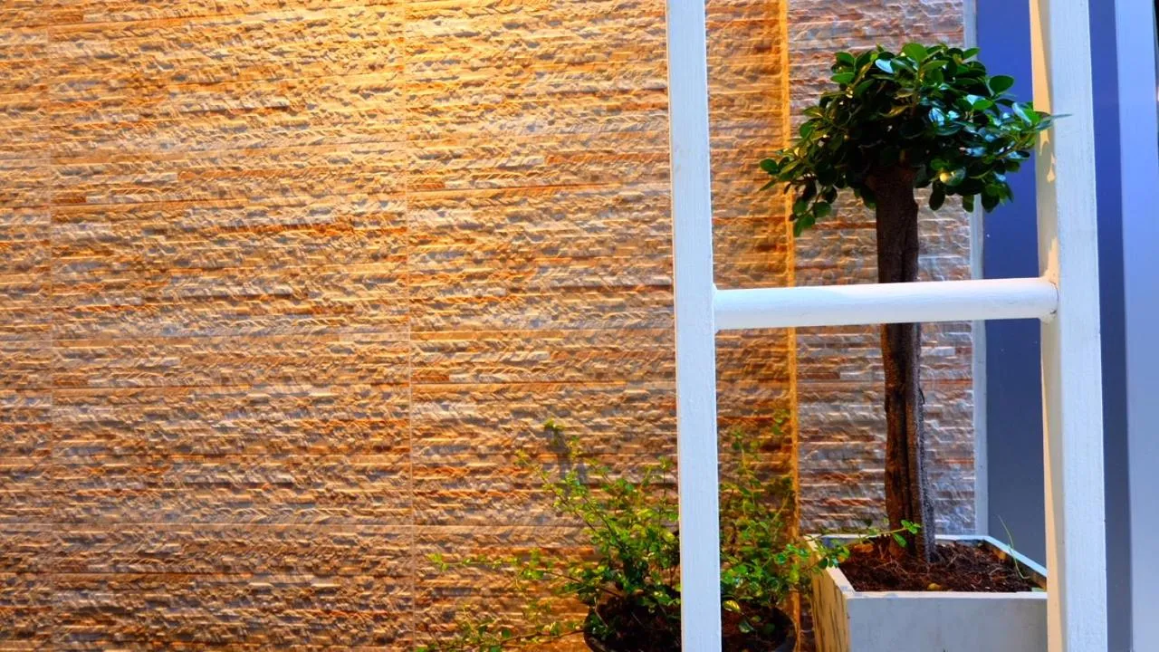 Area and facilities in Cloud 9 Lodge