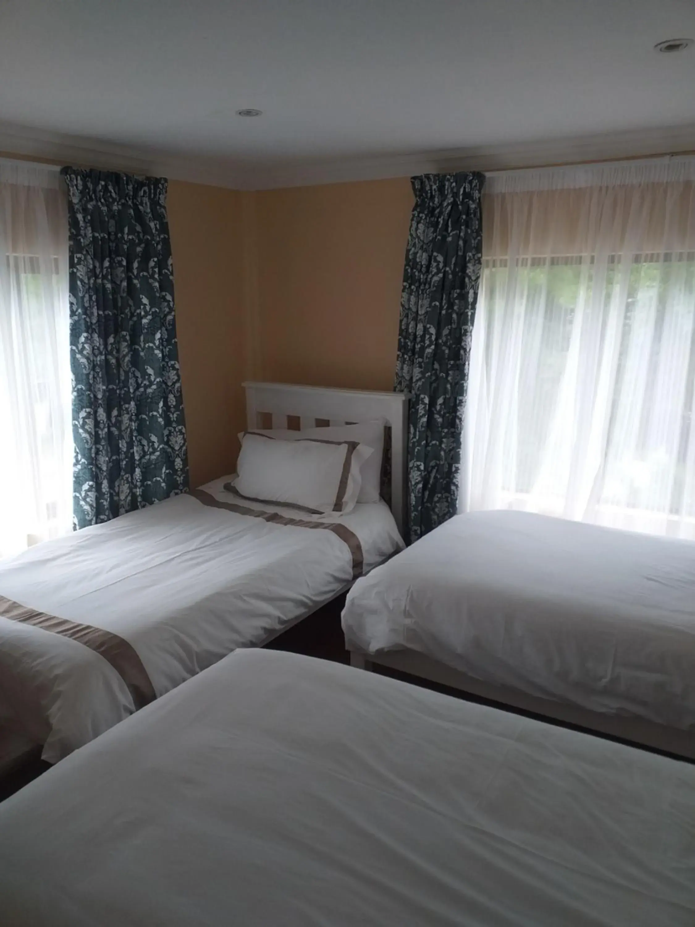 Bed in Alpine Inn Bed in Alpine Inn
