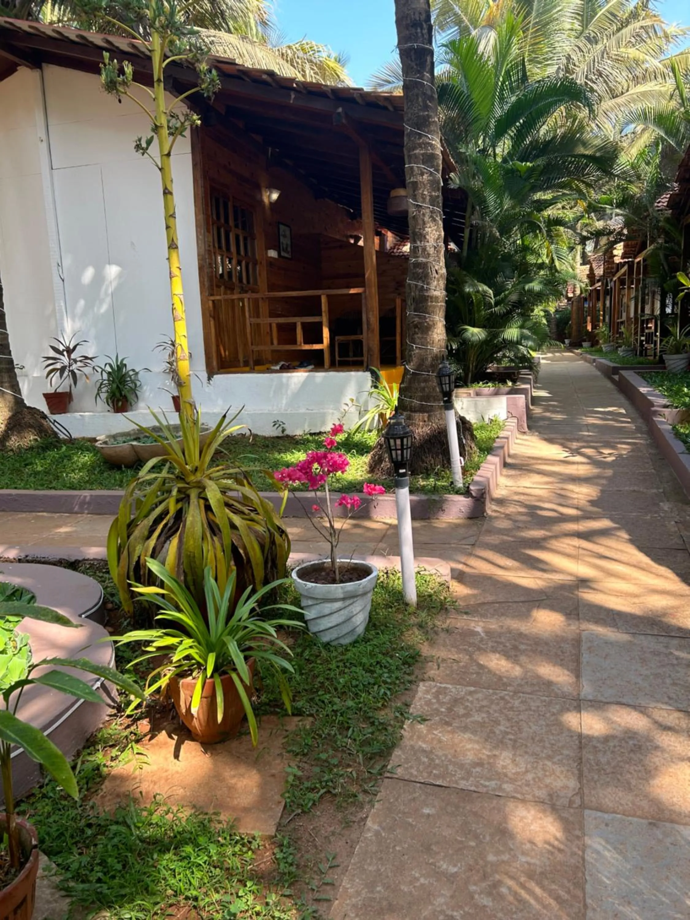 Shiva Cottages
