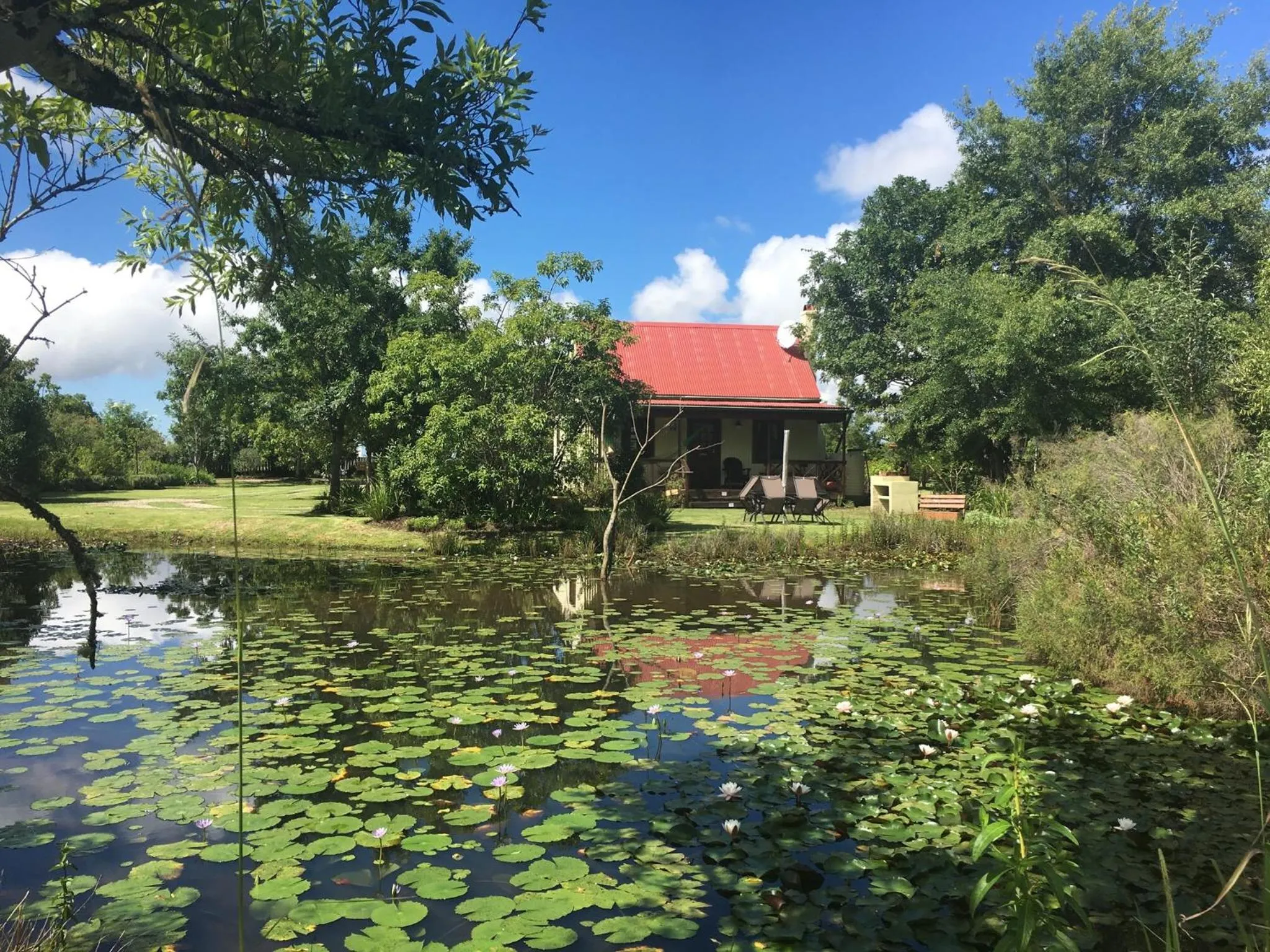 Garden view in Forest Edge