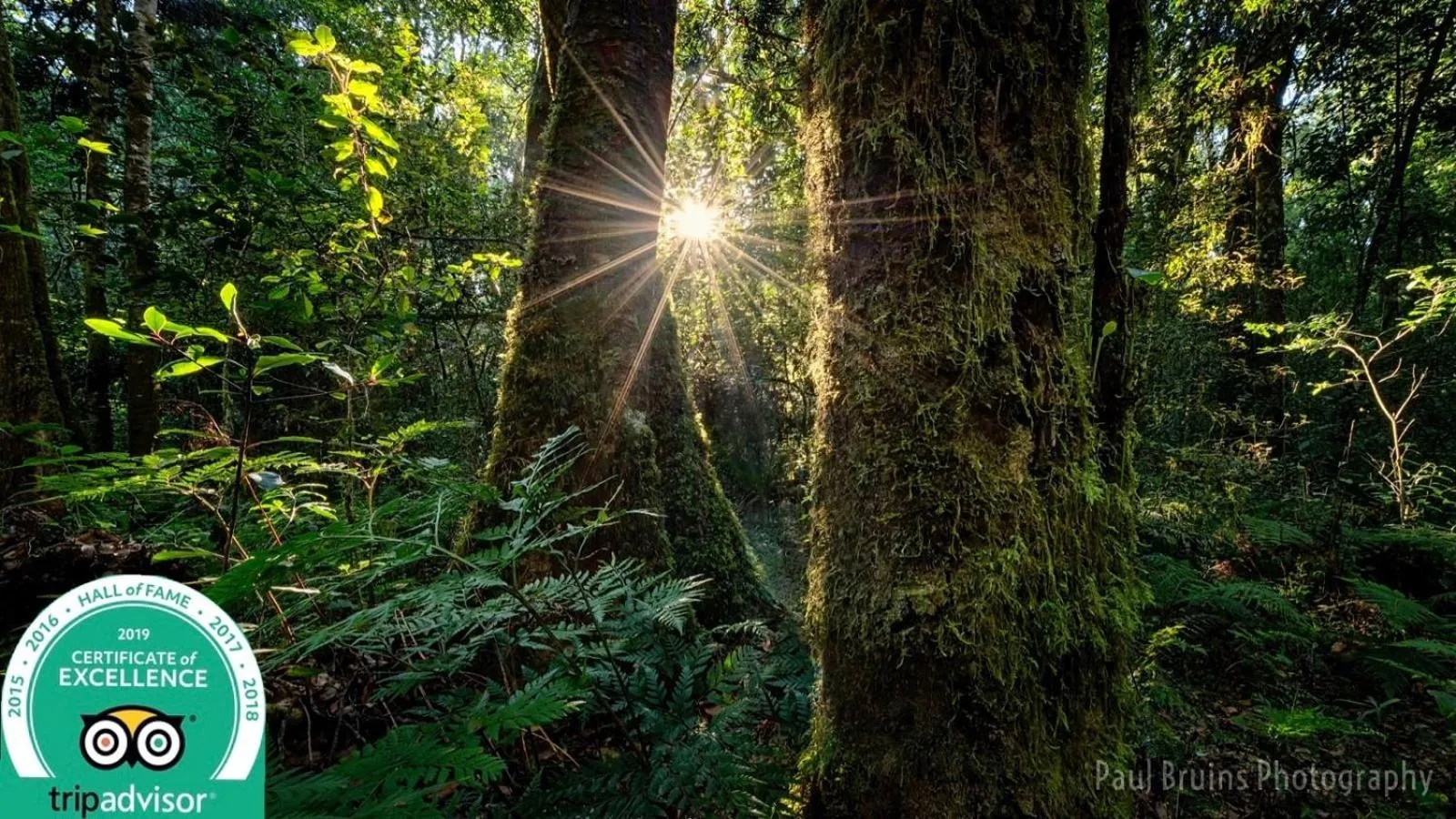 Garden view in Forest Edge