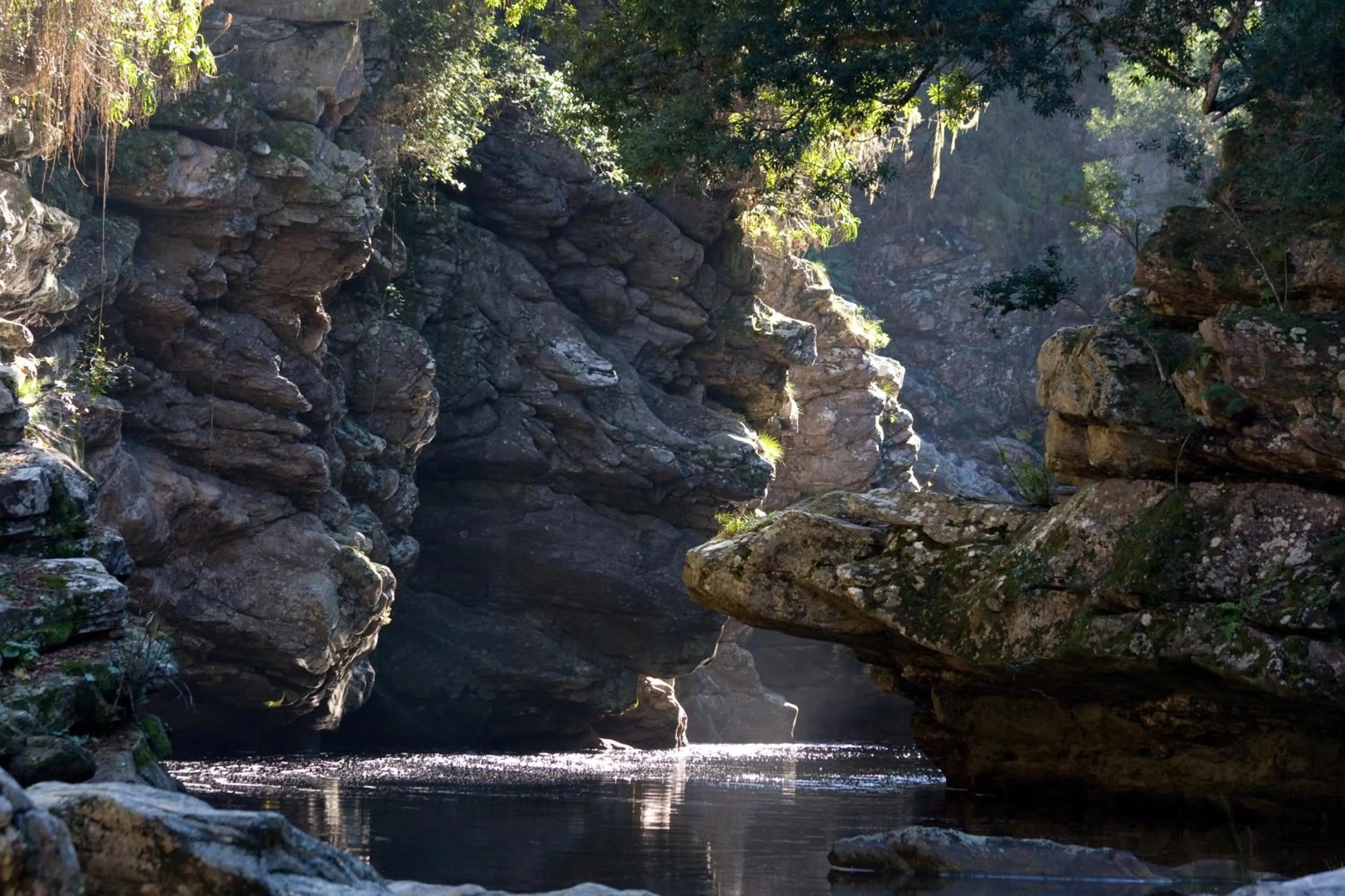 Aqua park in Forest Edge