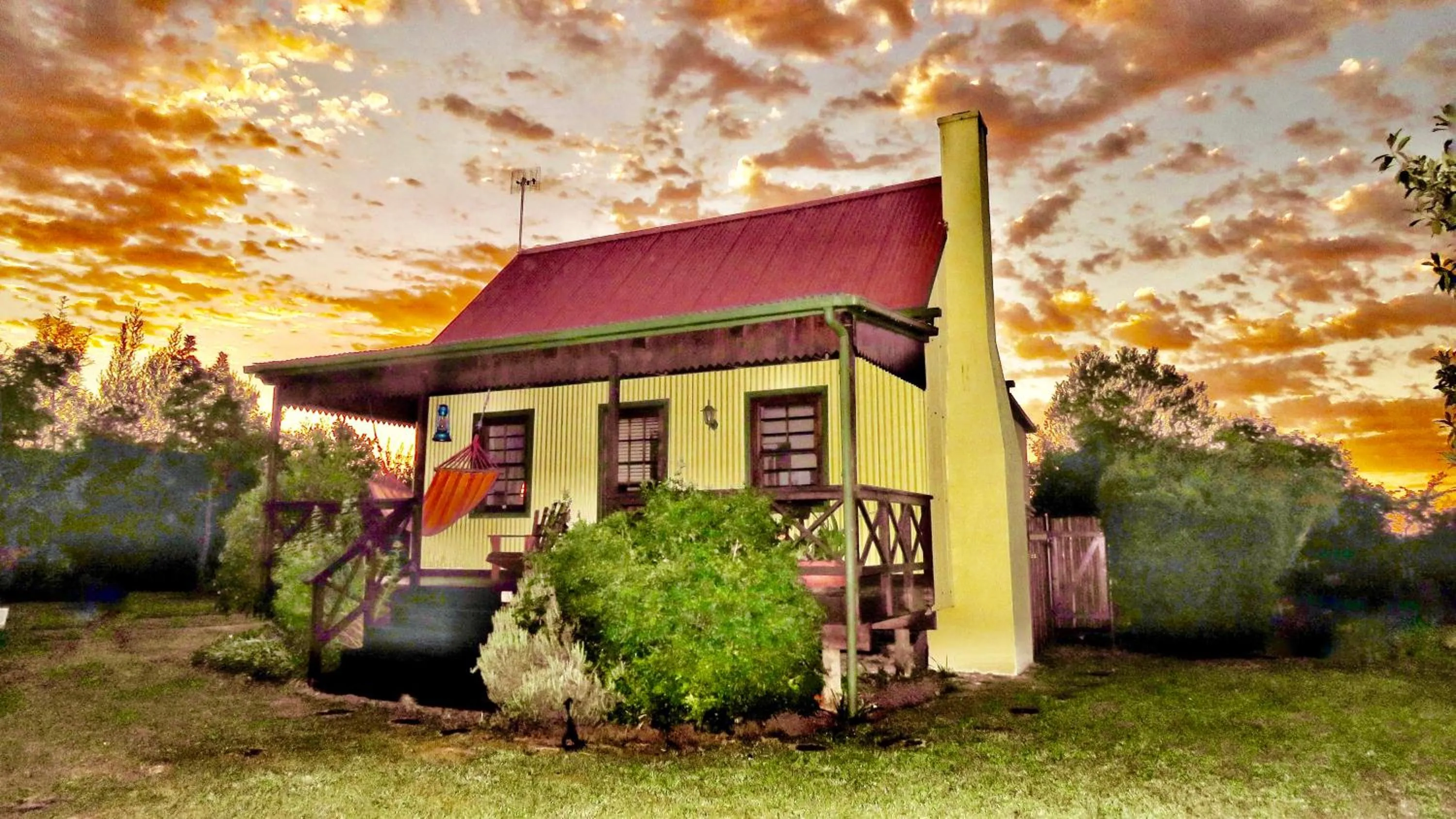 Property building in Forest Edge
