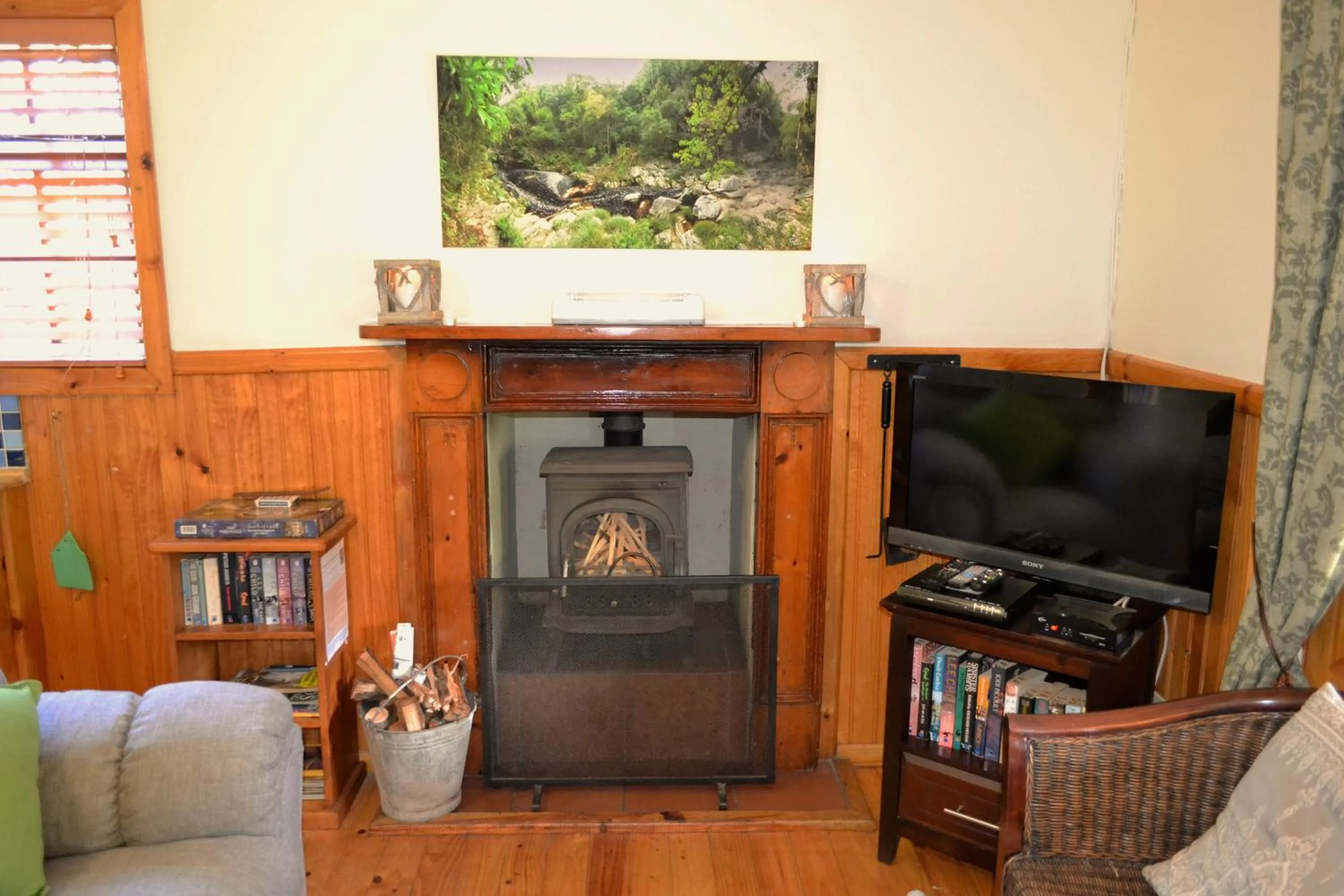 TV and multimedia in Forest Edge