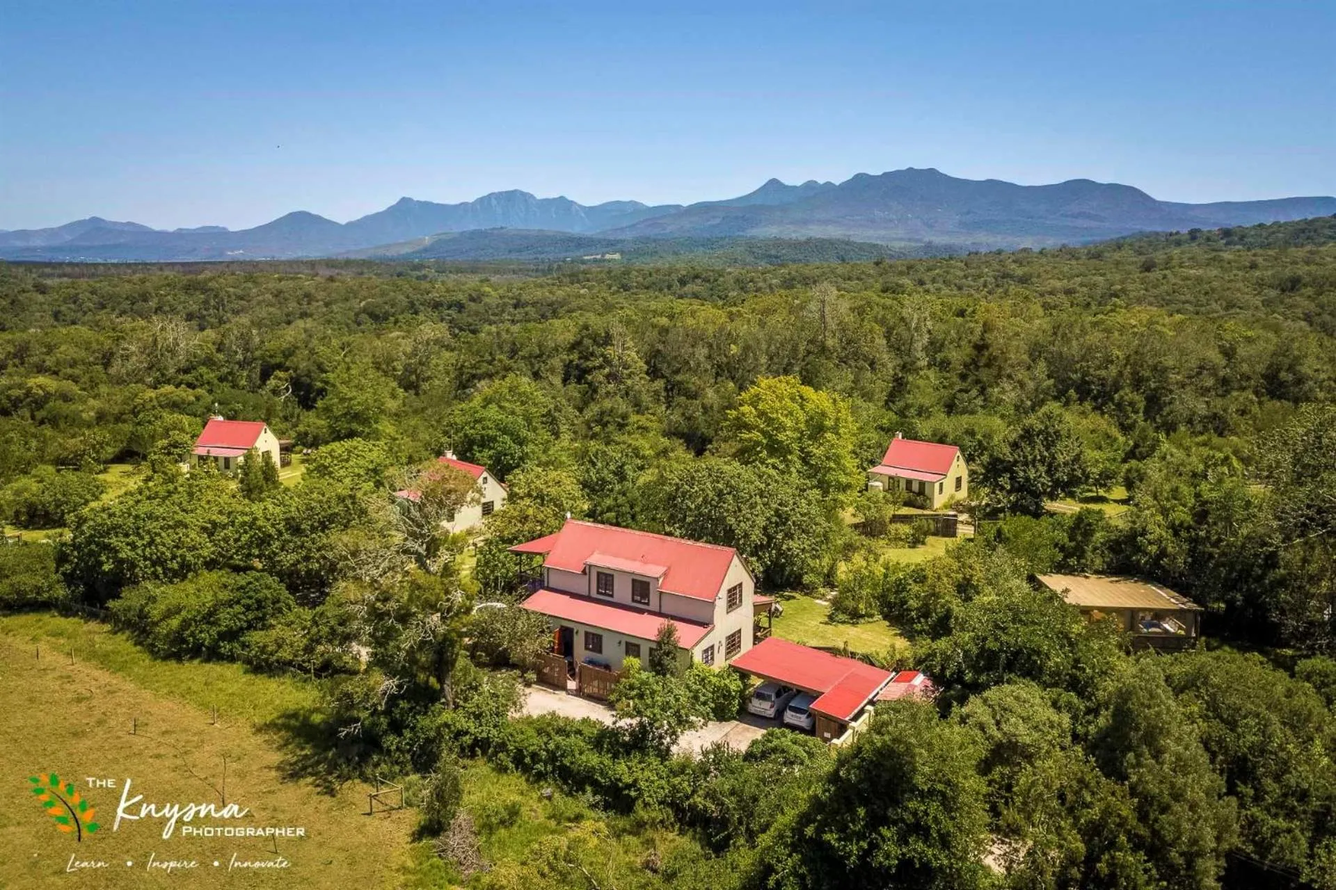Neighbourhood in Forest Edge