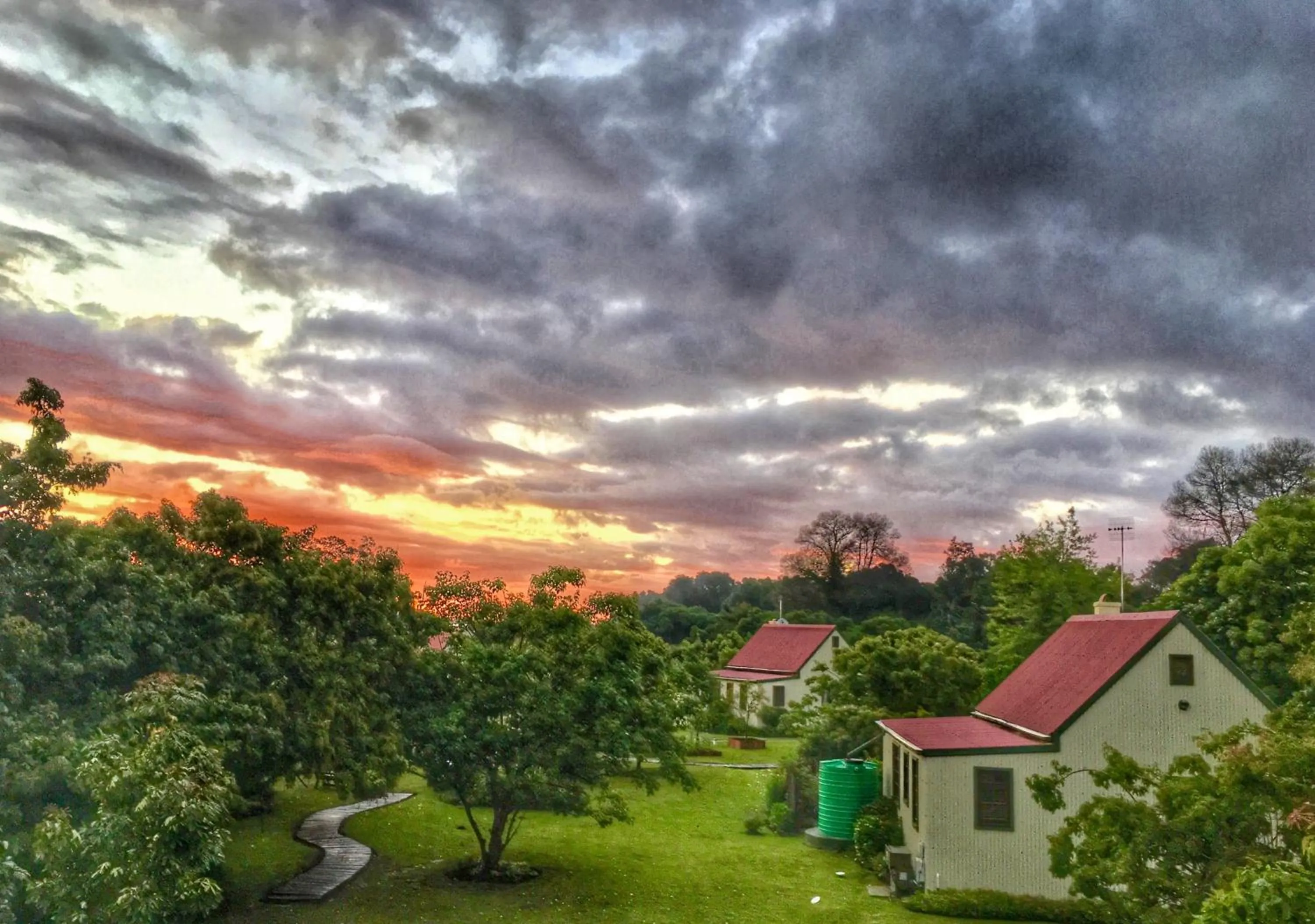Garden view in Forest Edge