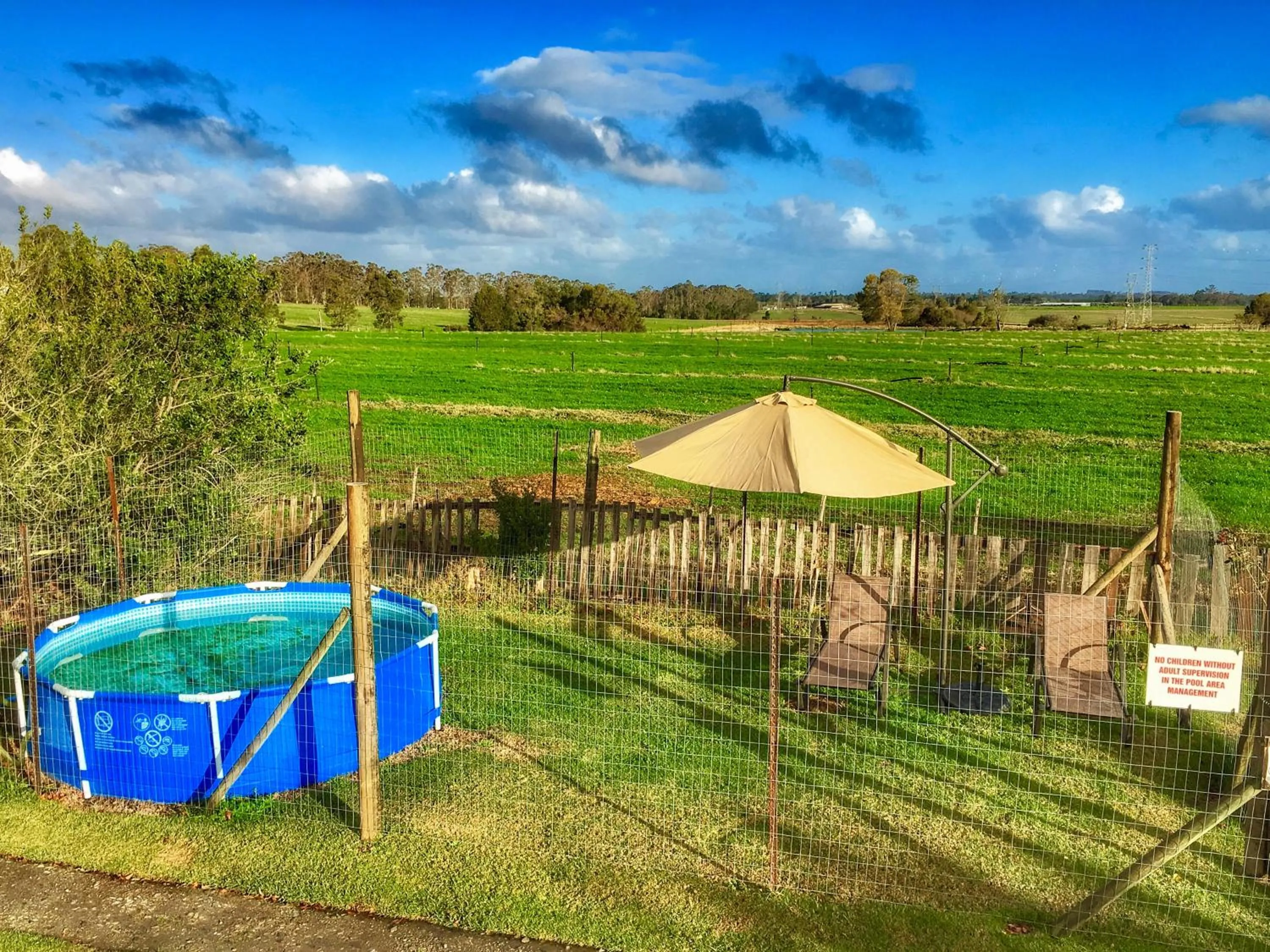 Swimming pool in Forest Edge