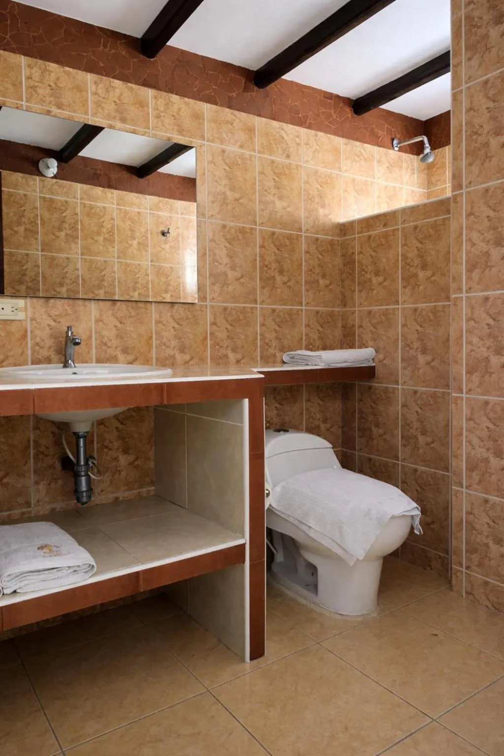 Toilet in La Casa del Arbol