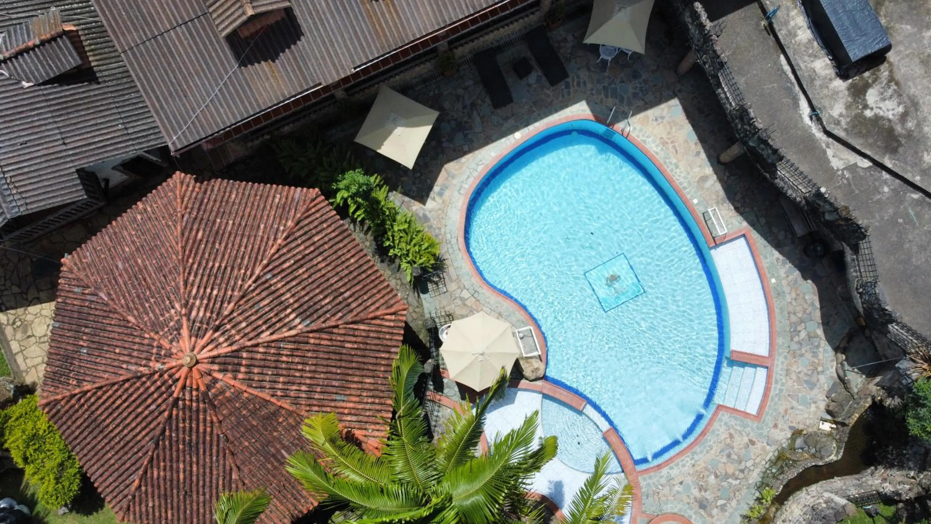 Swimming pool in La Casa del Arbol