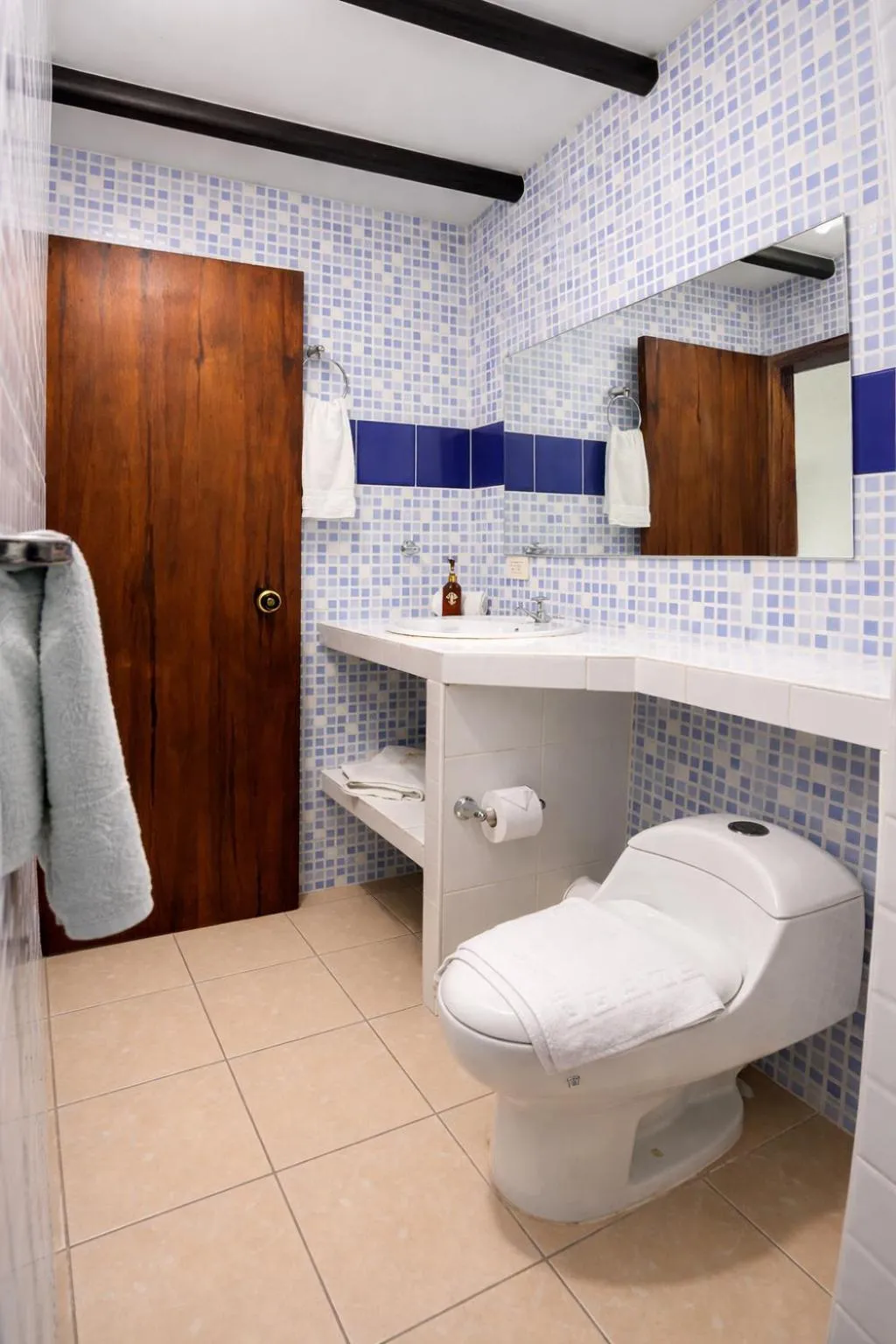 Toilet in La Casa del Arbol