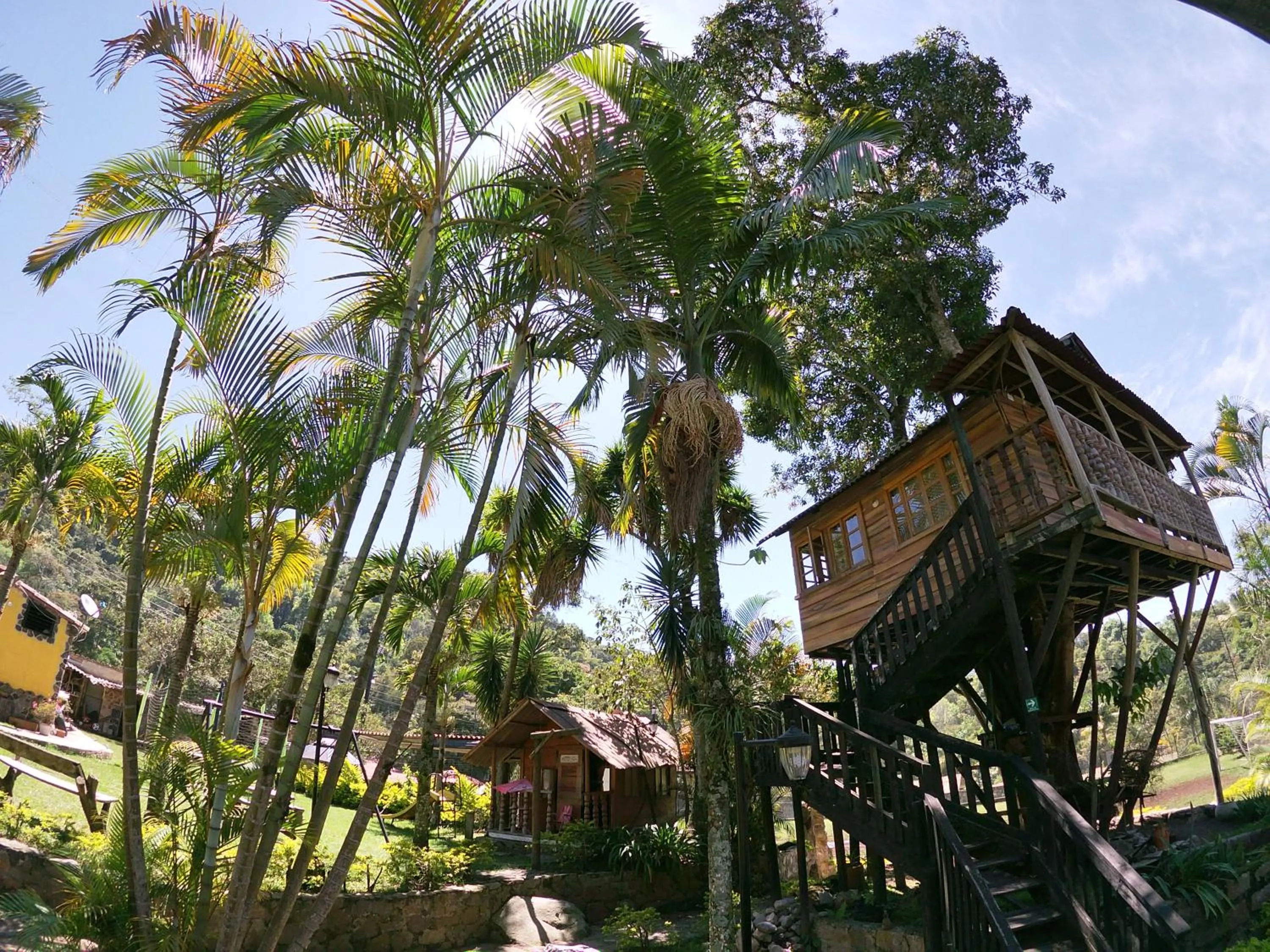 Garden in La Casa del Arbol