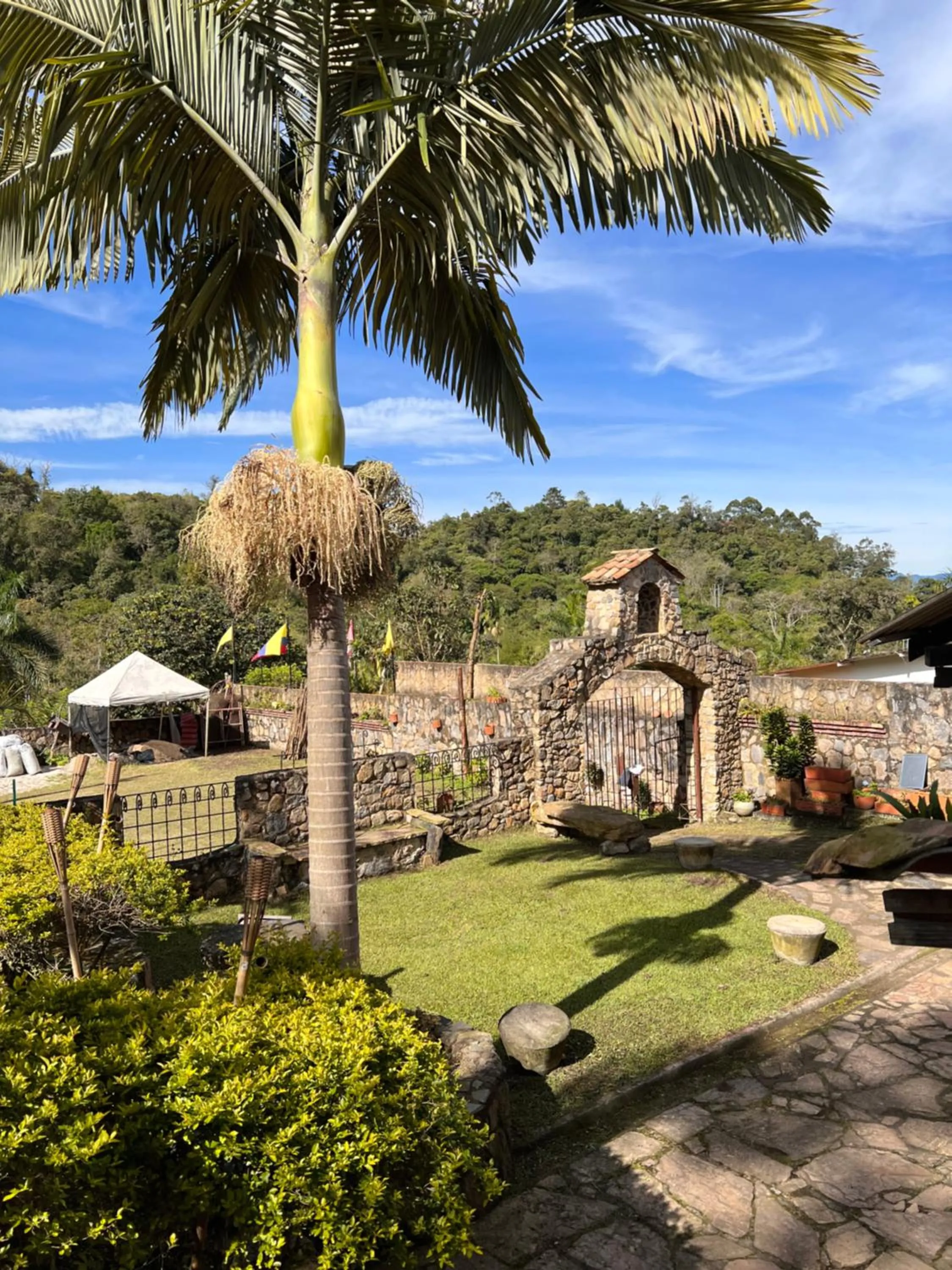 Garden view in La Casa del Arbol