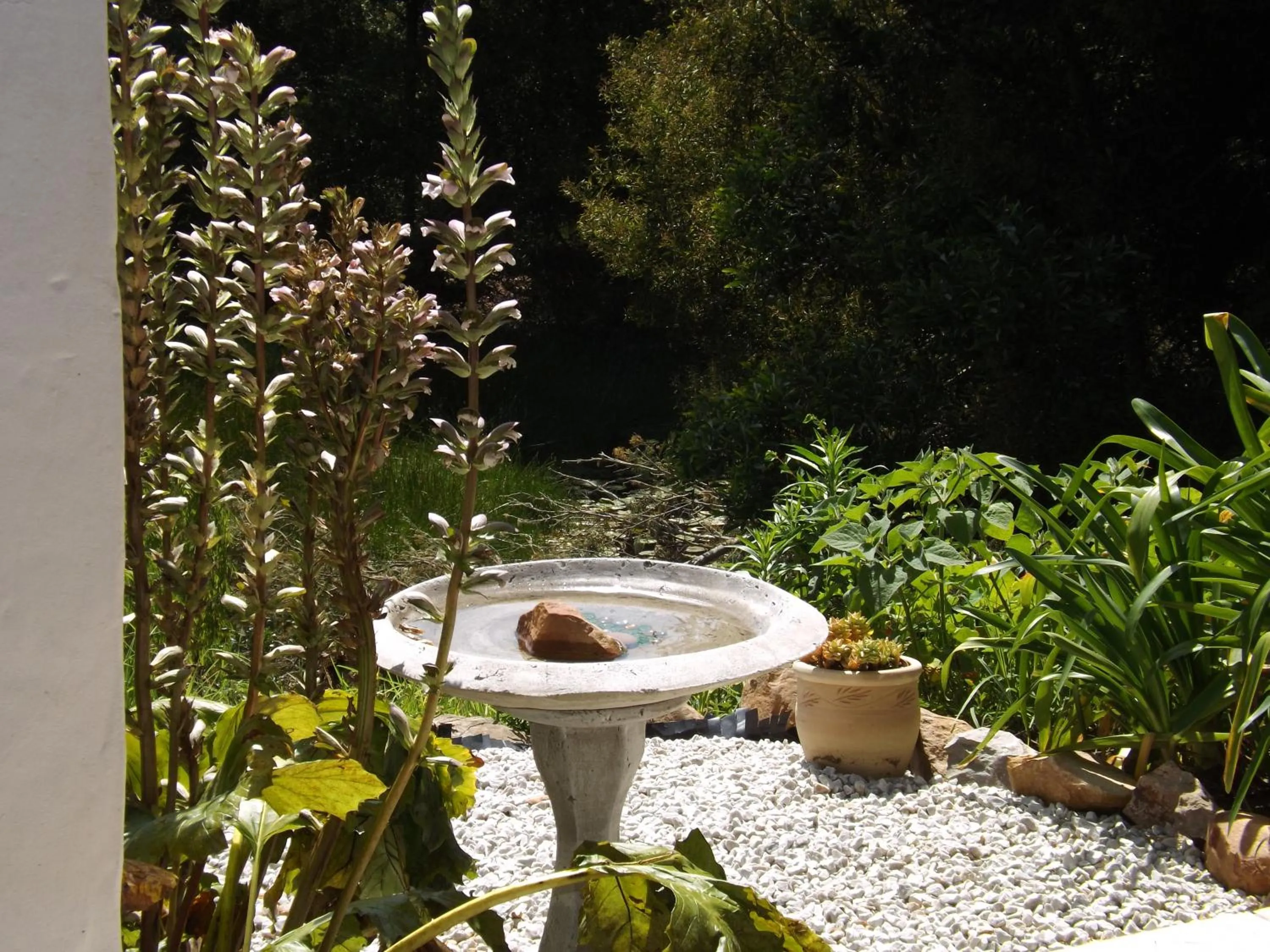 Garden in Masescha Country Estate
