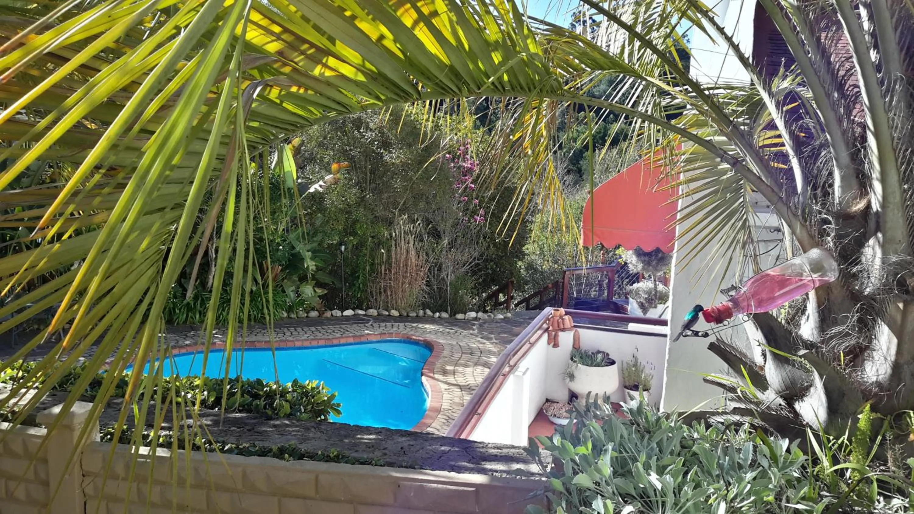 Patio in Masescha Country Estate