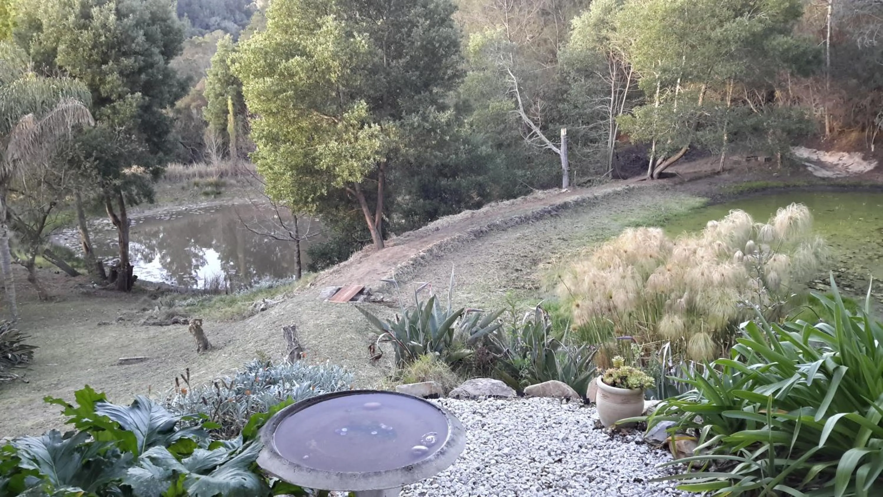 Garden in Masescha Country Estate