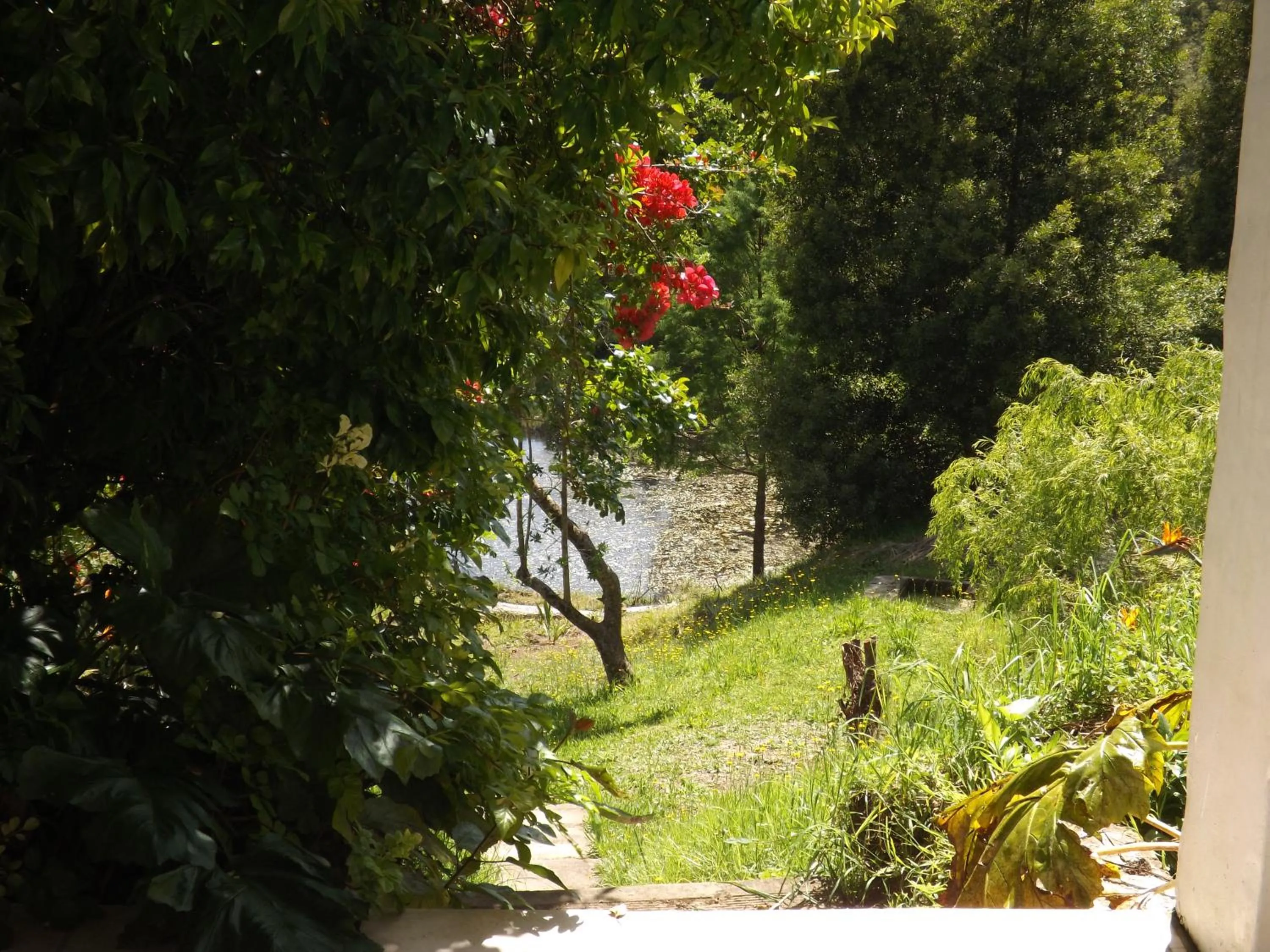 Natural landscape in Masescha Country Estate