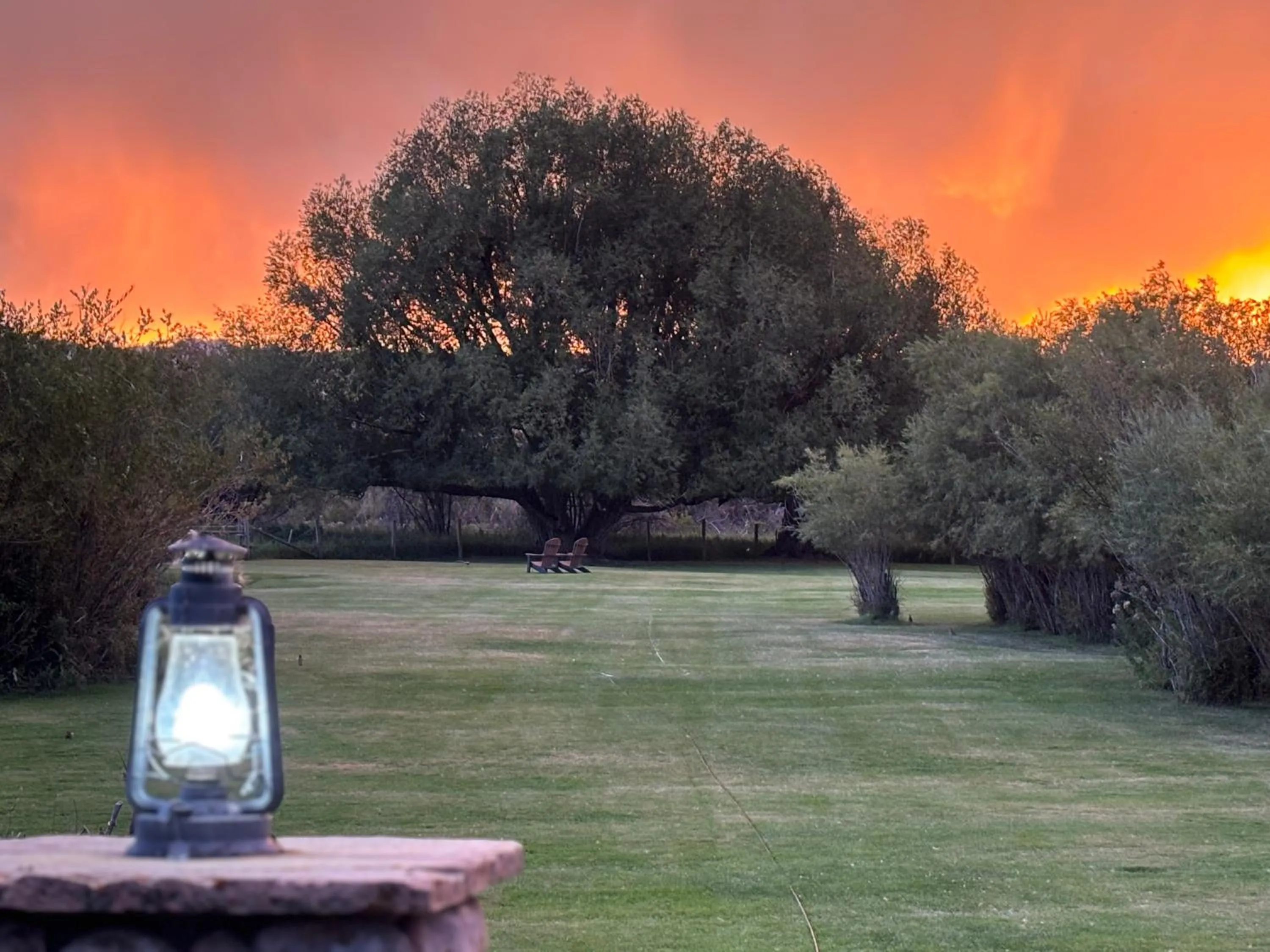 Garden in El Western Cabins & Lodges